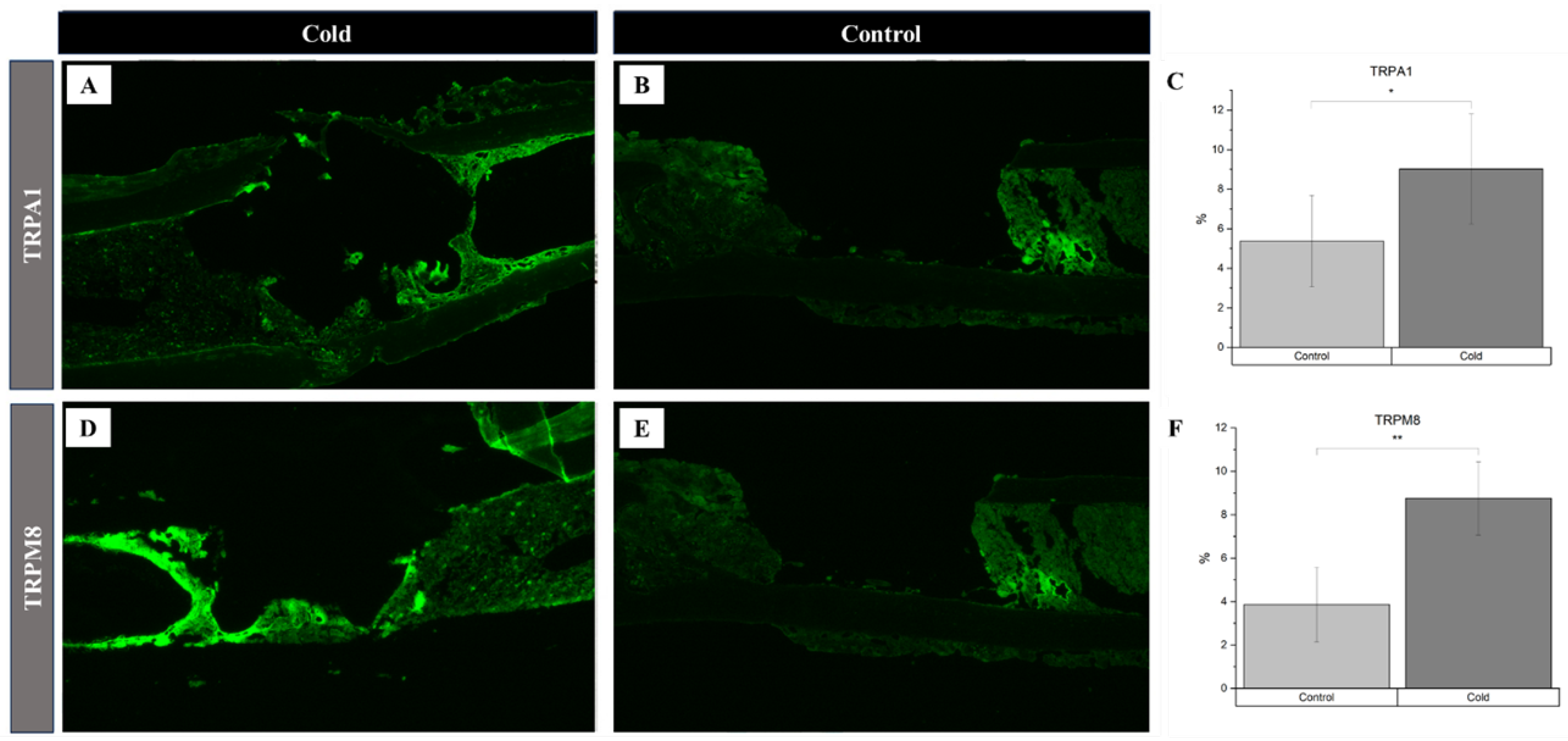 Preprints 116572 g002