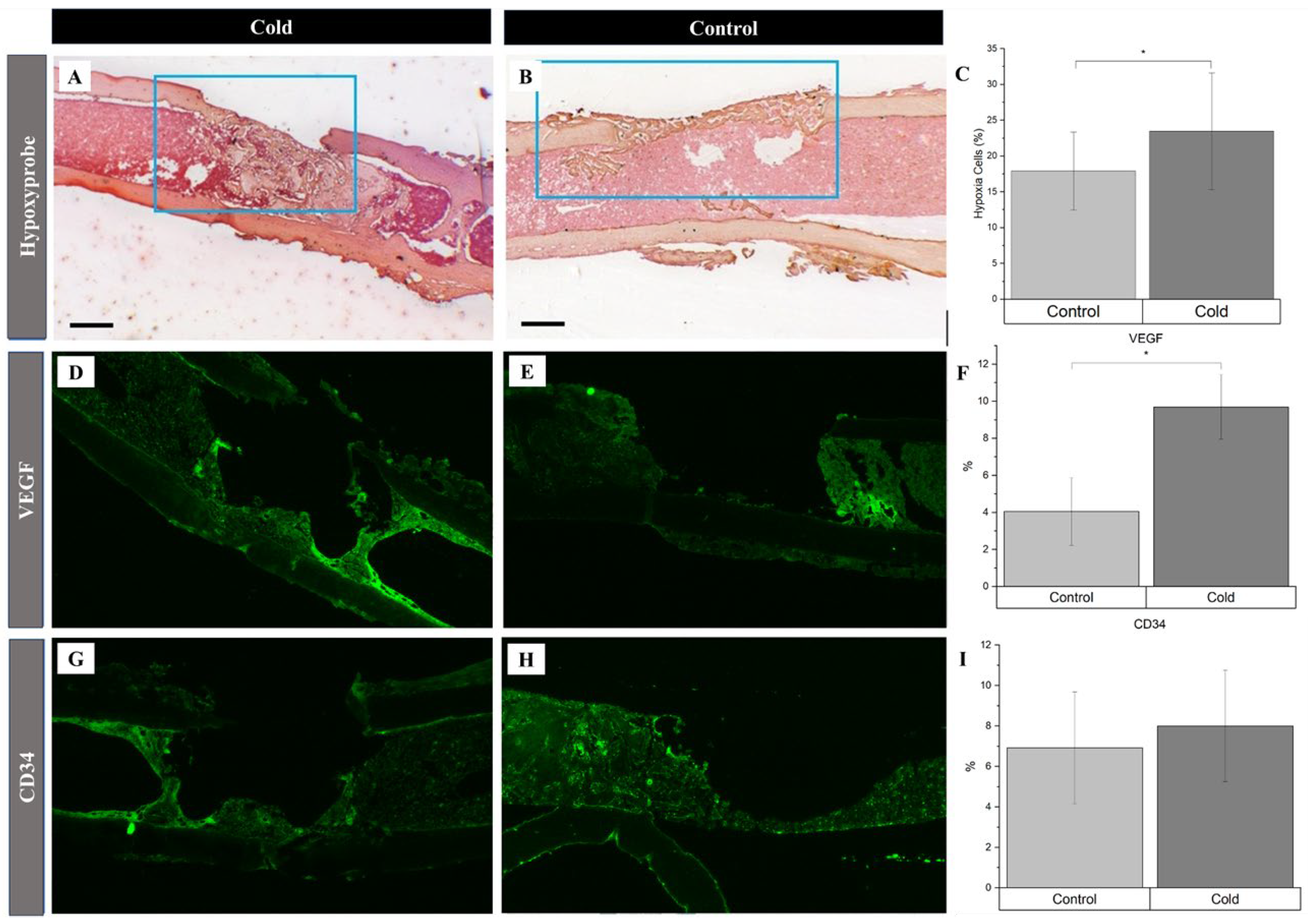 Preprints 116572 g003