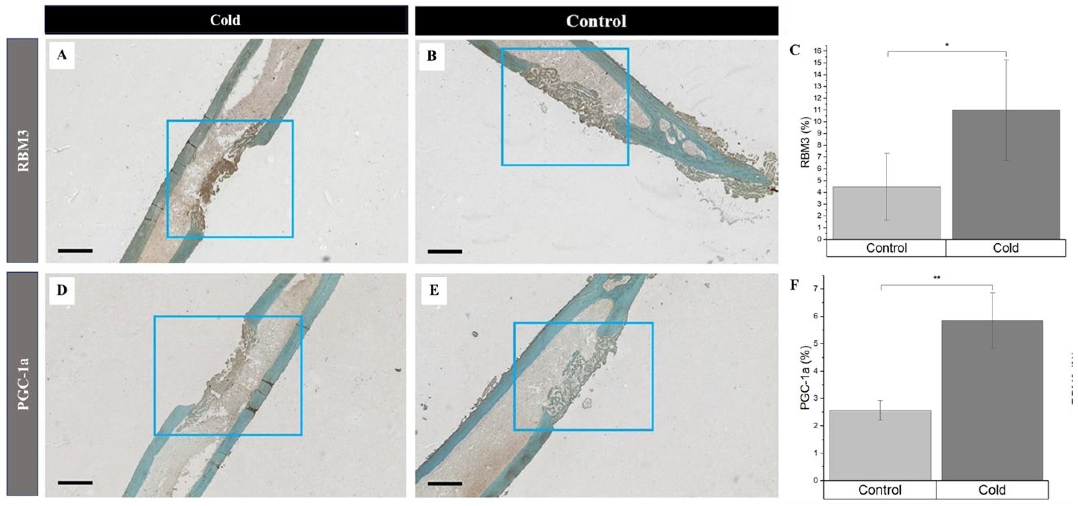 Preprints 116572 g004