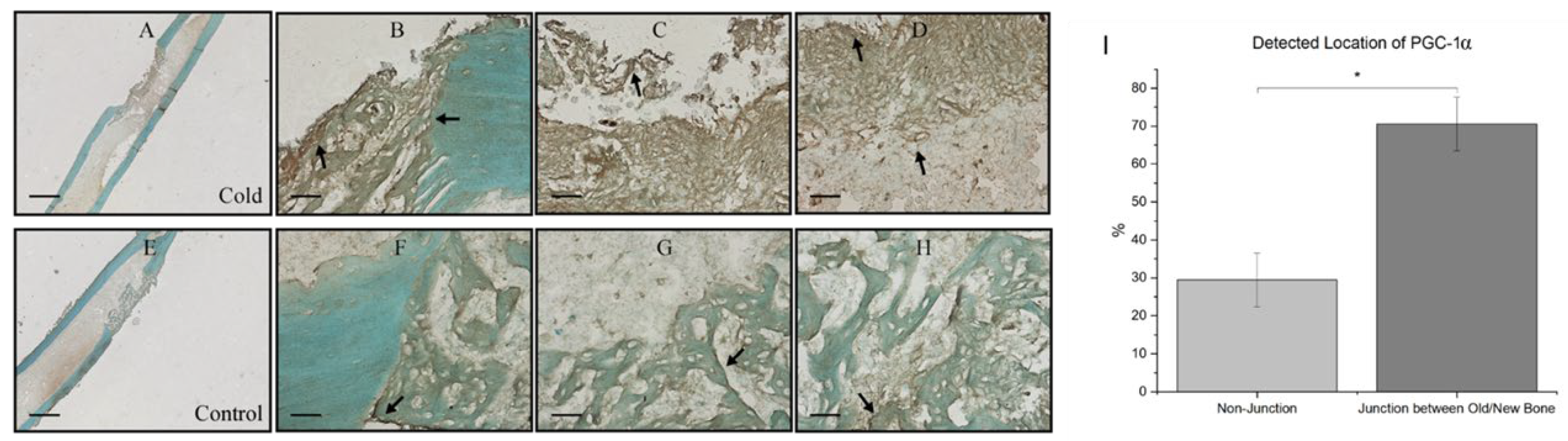 Preprints 116572 g005