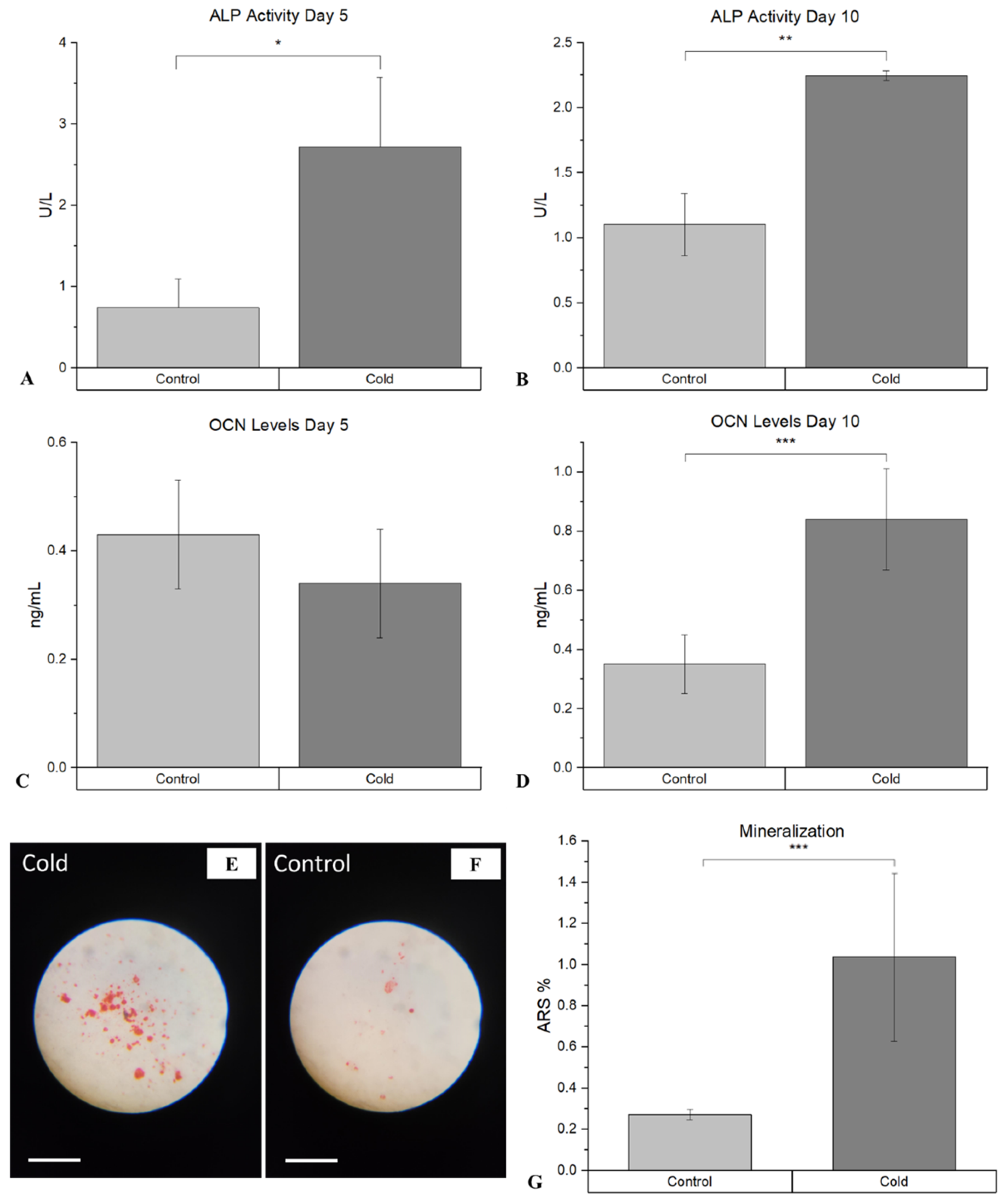 Preprints 116572 g006