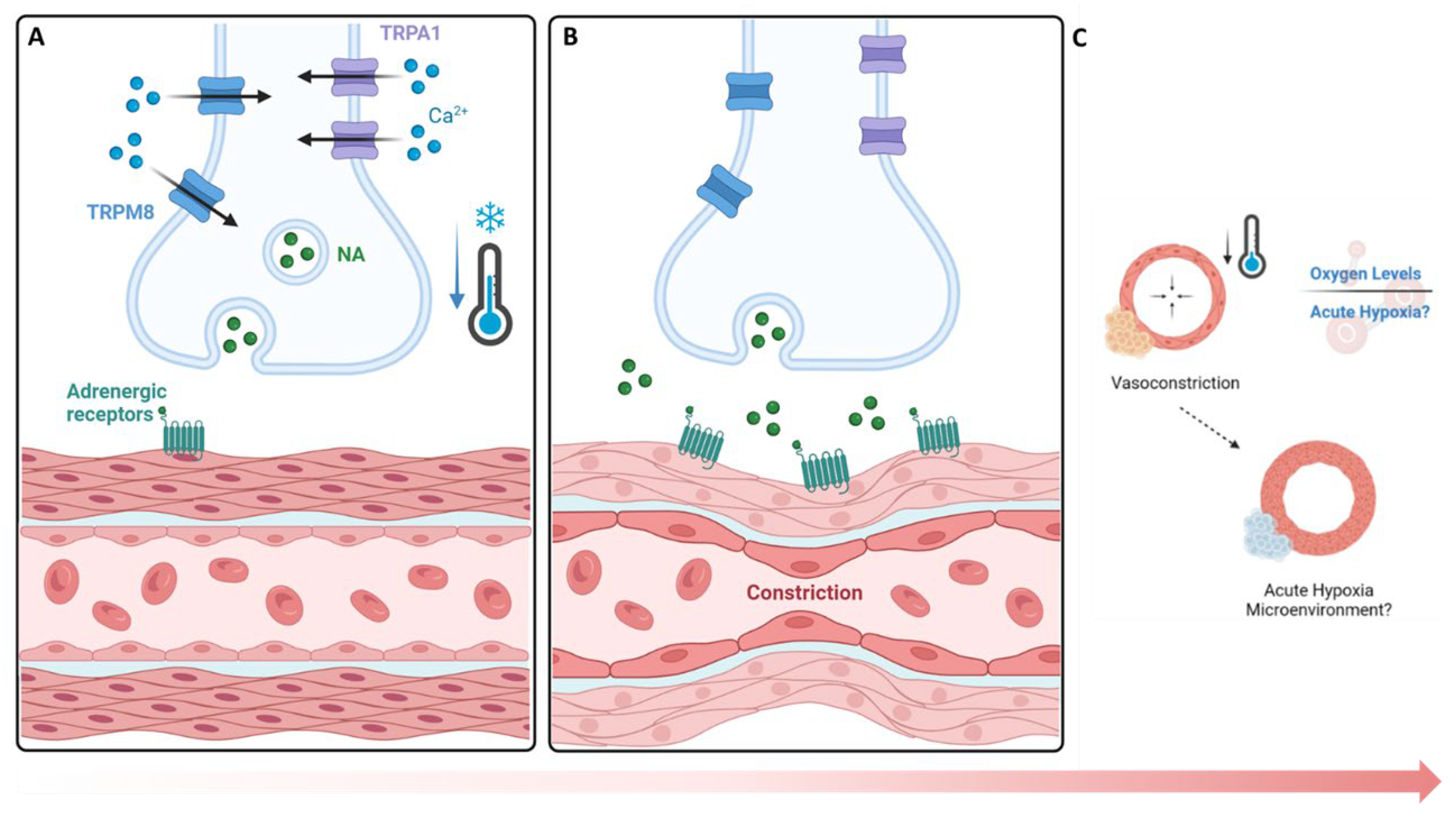 Preprints 116572 g007