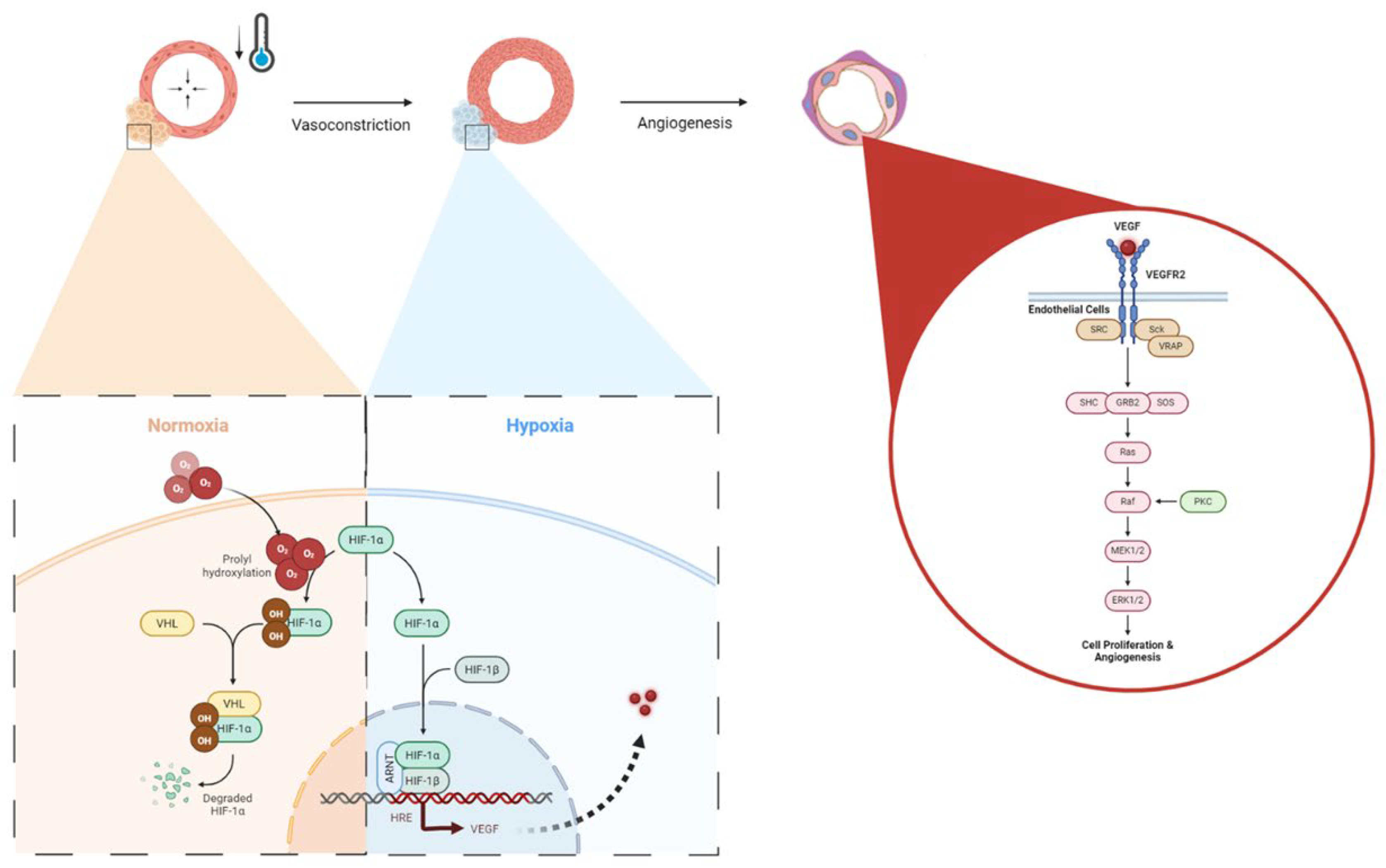 Preprints 116572 g008