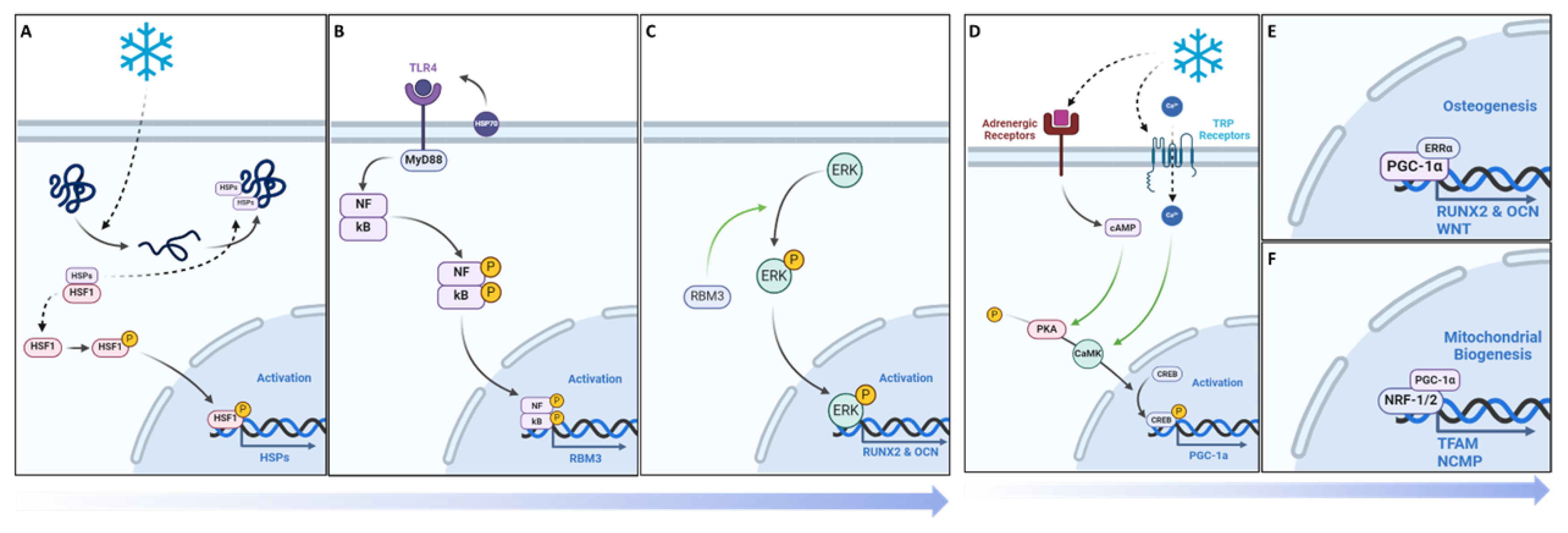 Preprints 116572 g009