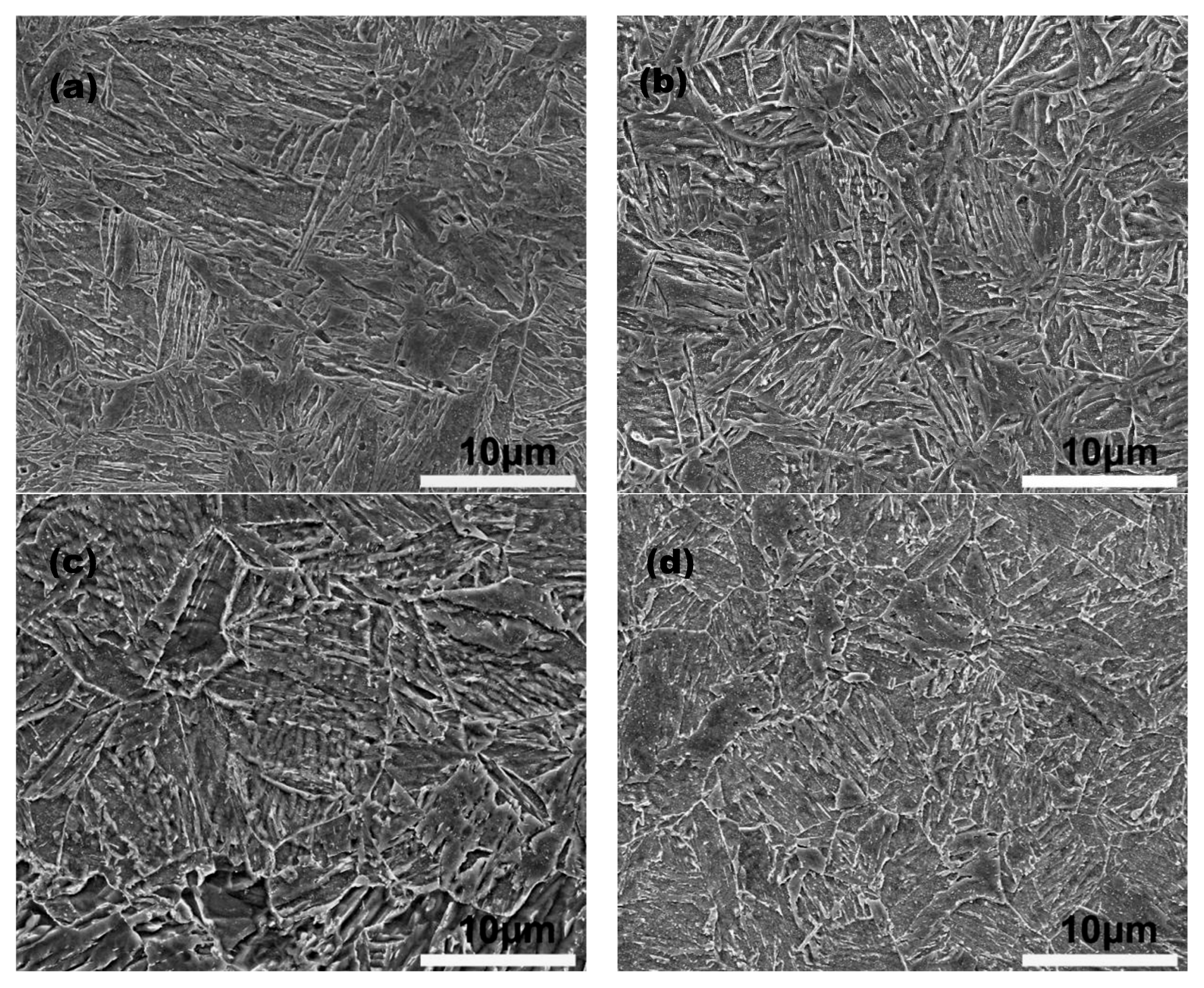 Preprints 111826 g002