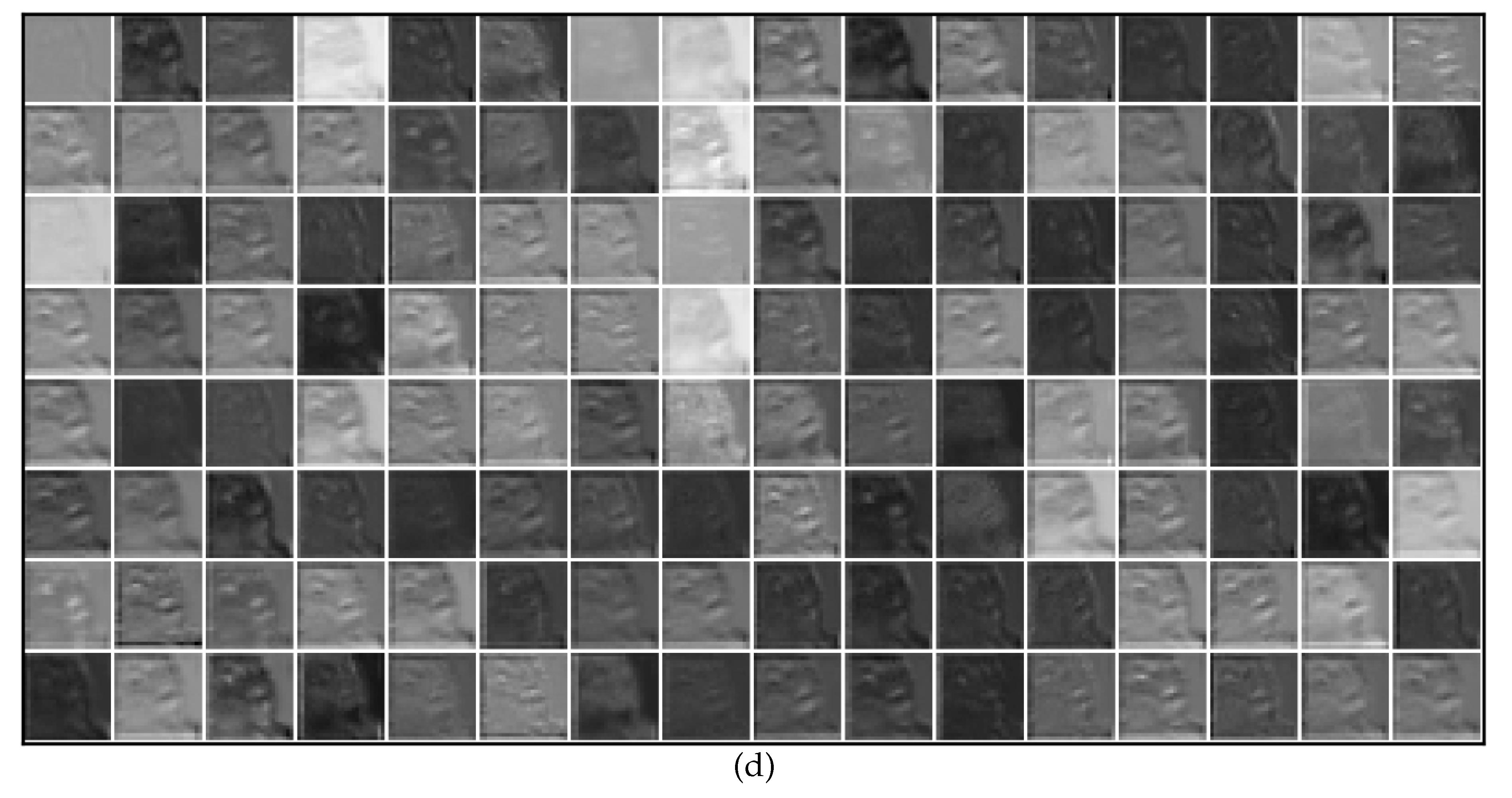 Preprints 113278 g010b