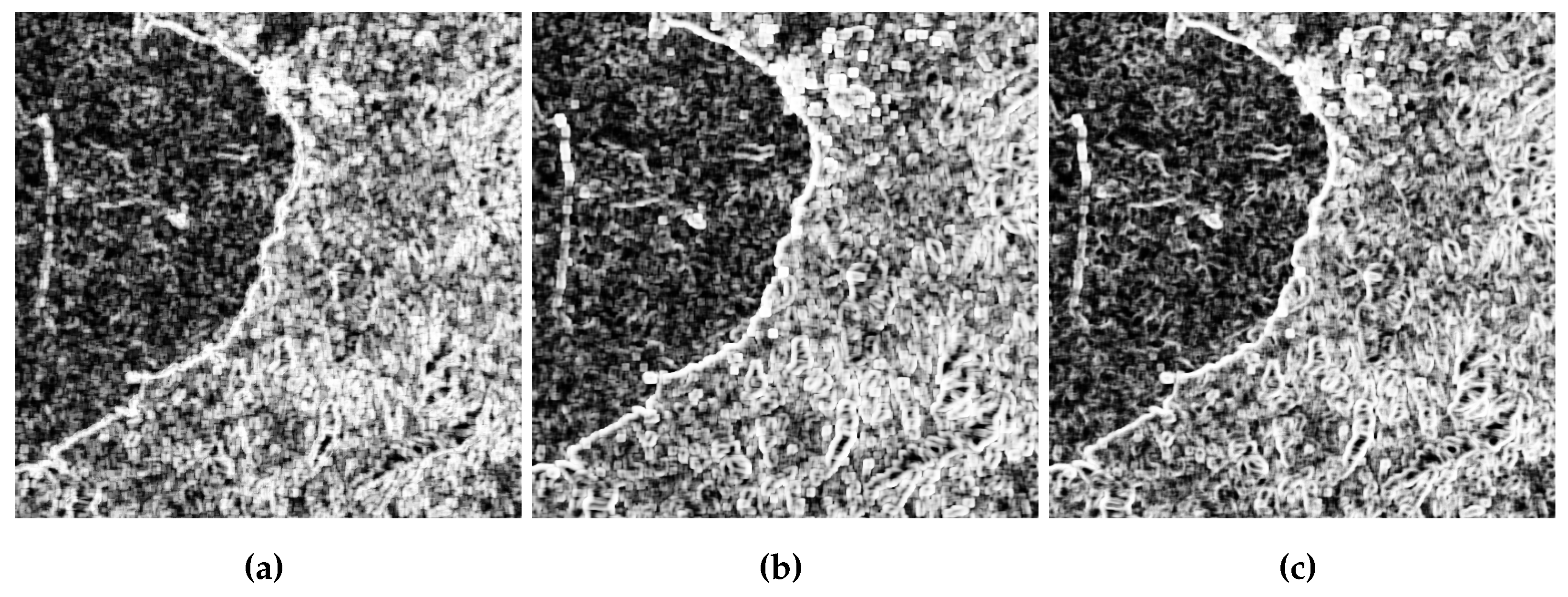 Preprints 105708 g014