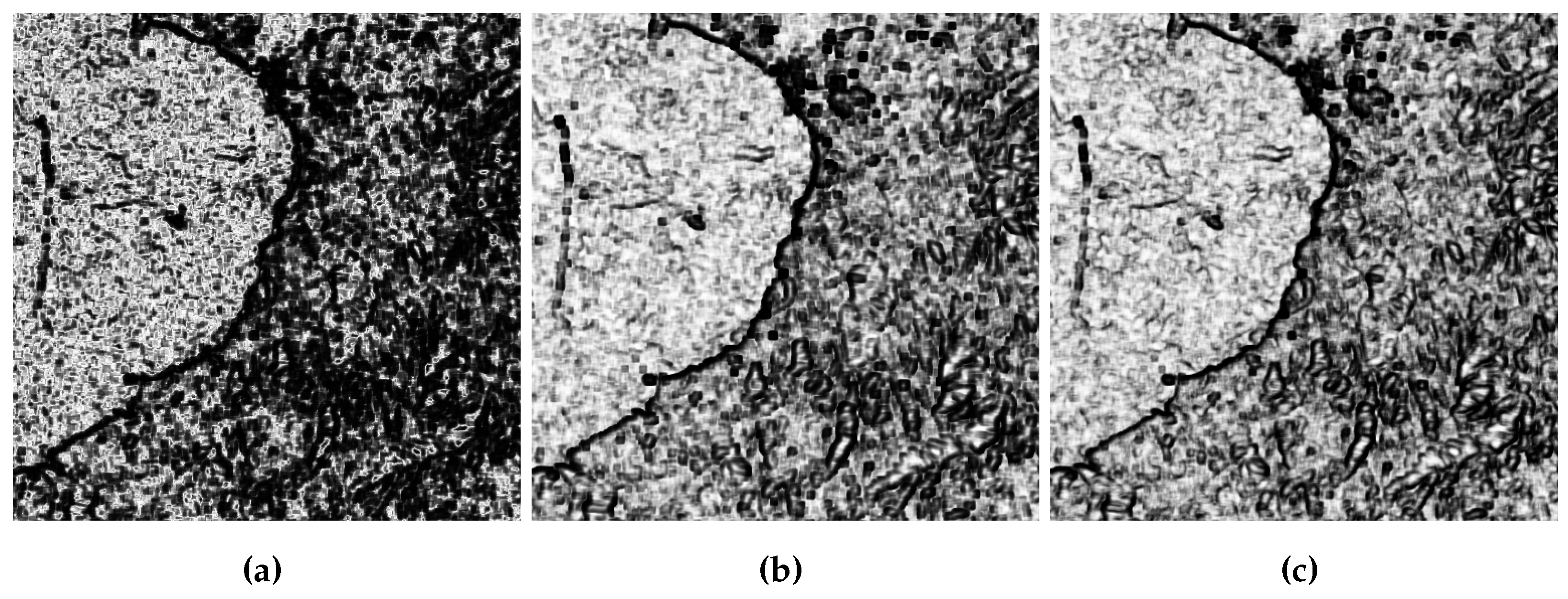 Preprints 105708 g015