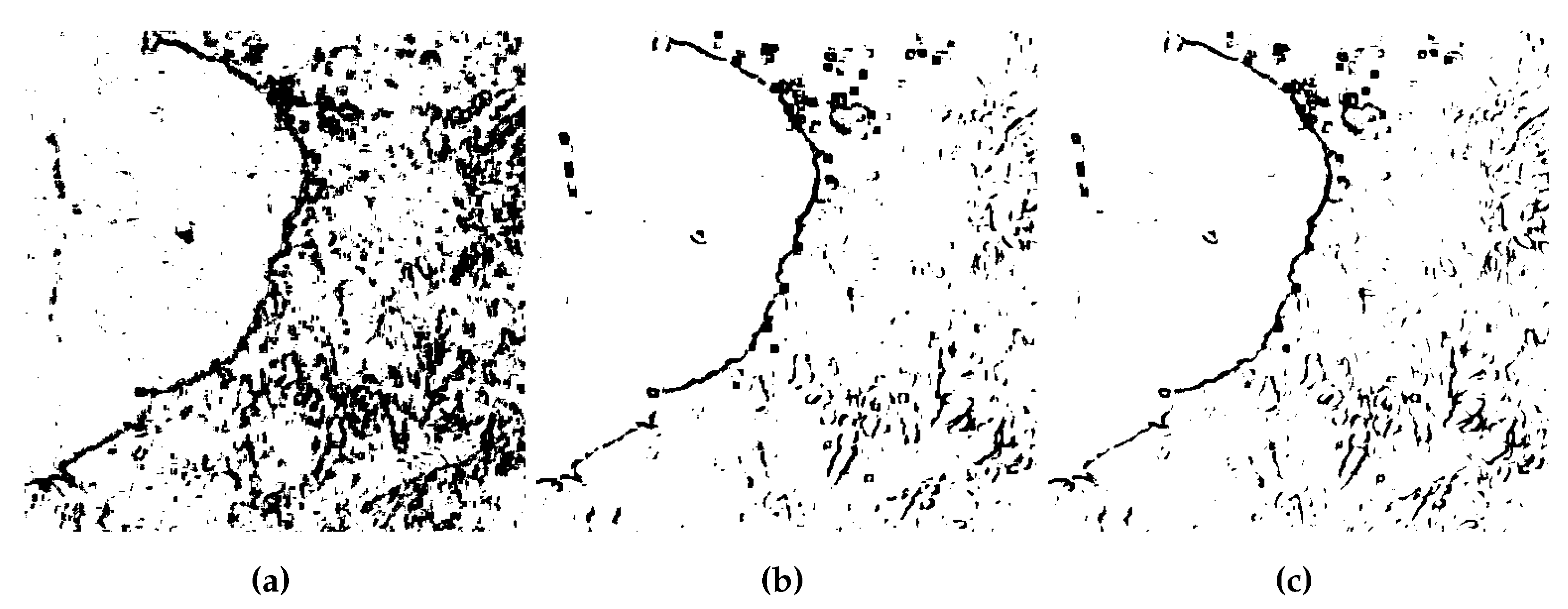 Preprints 105708 g016