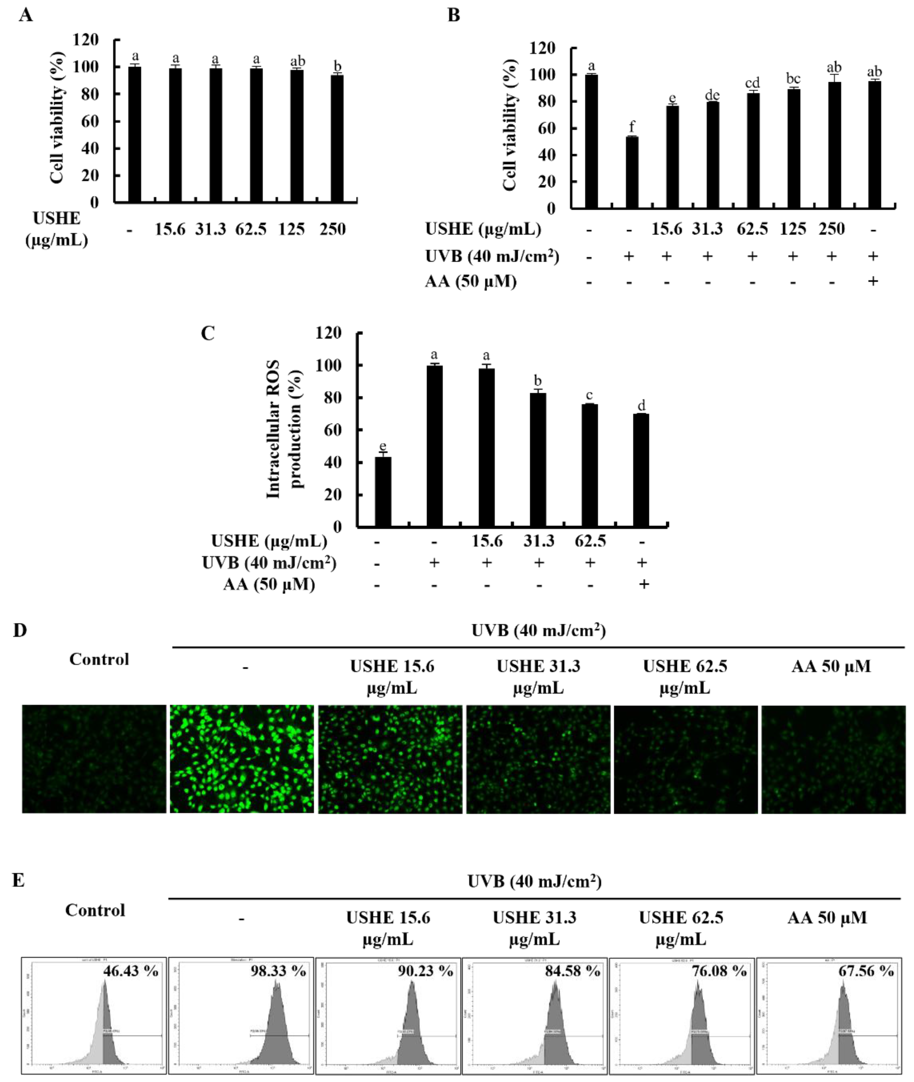 Preprints 120990 g002