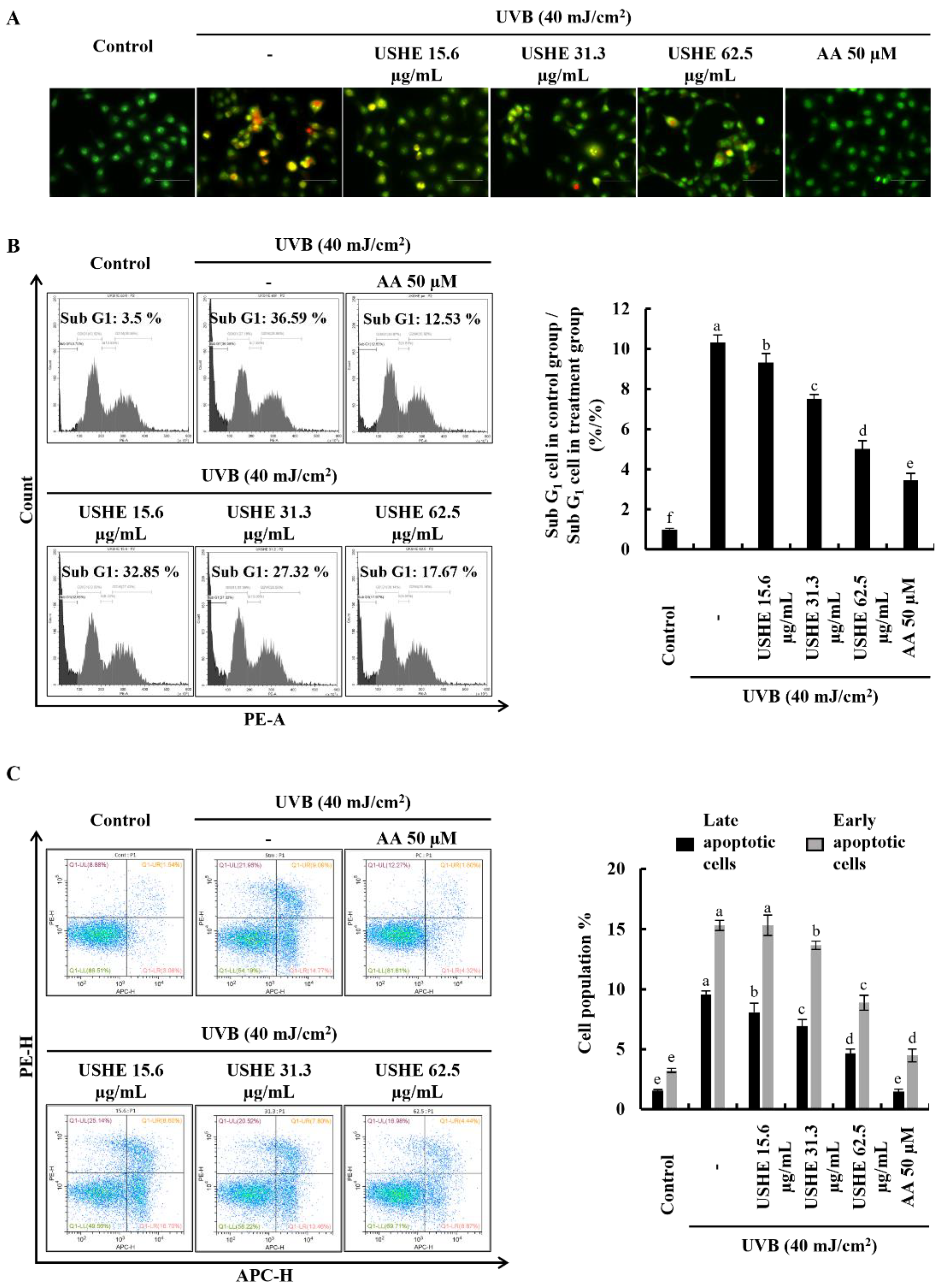 Preprints 120990 g003