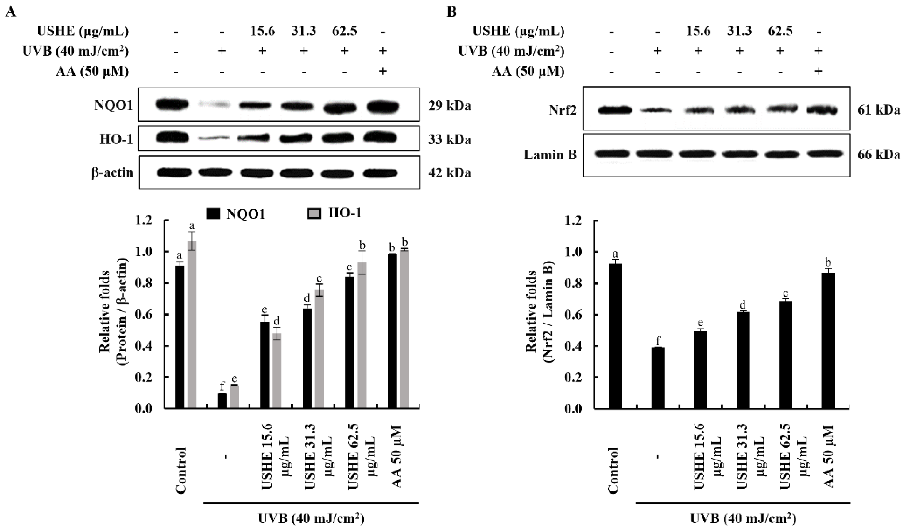 Preprints 120990 g005