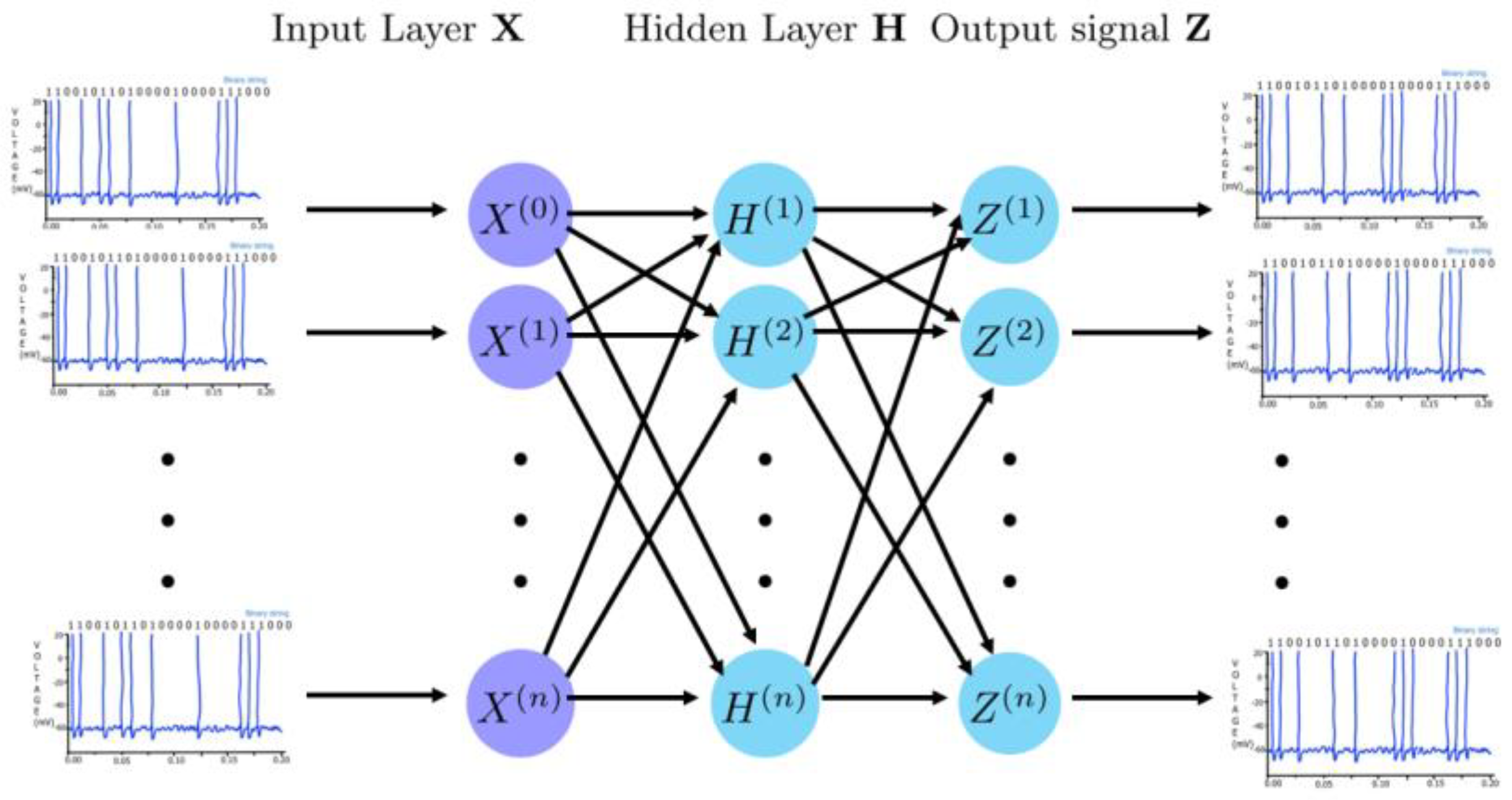 Preprints 90634 g005