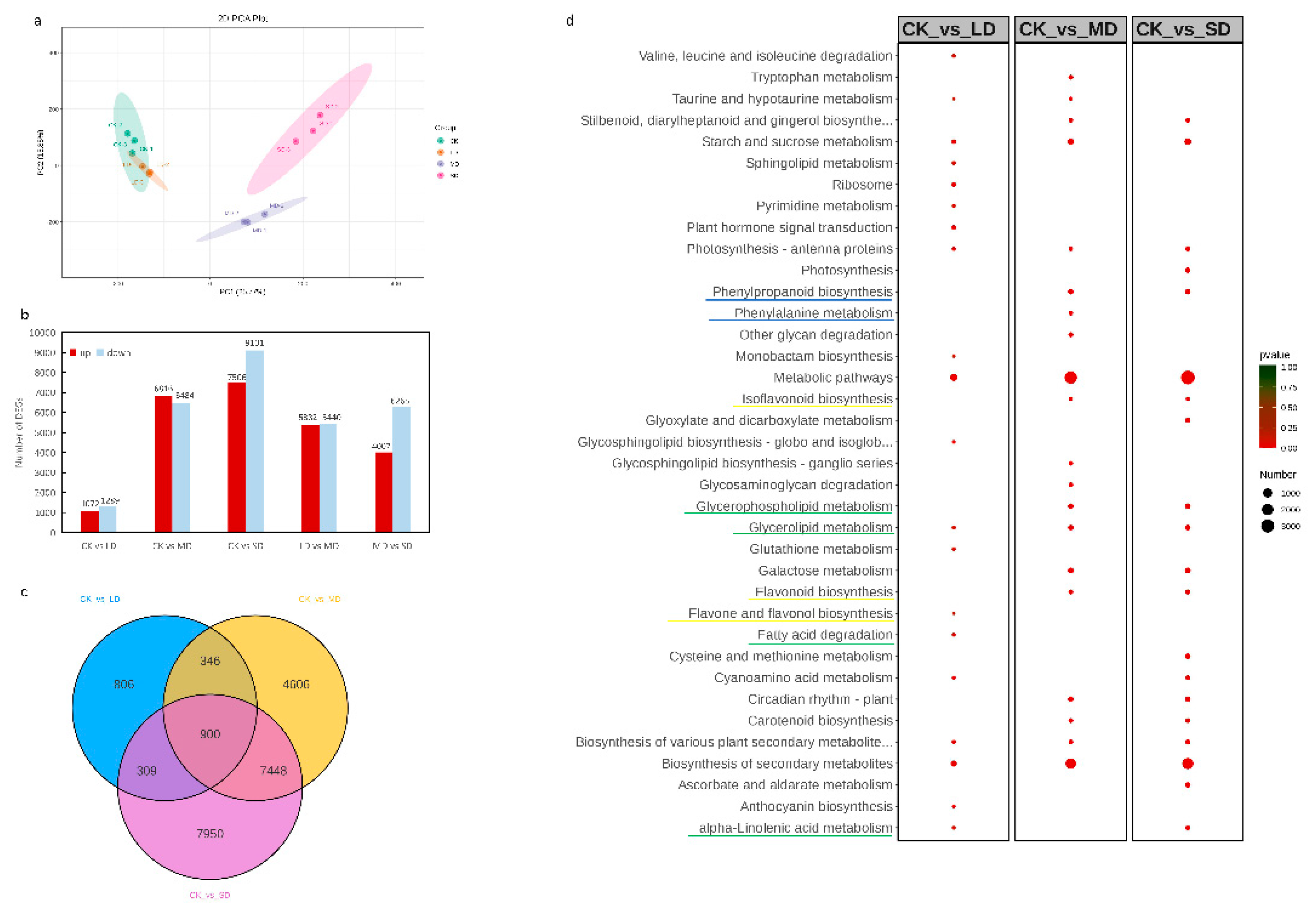 Preprints 94867 g003