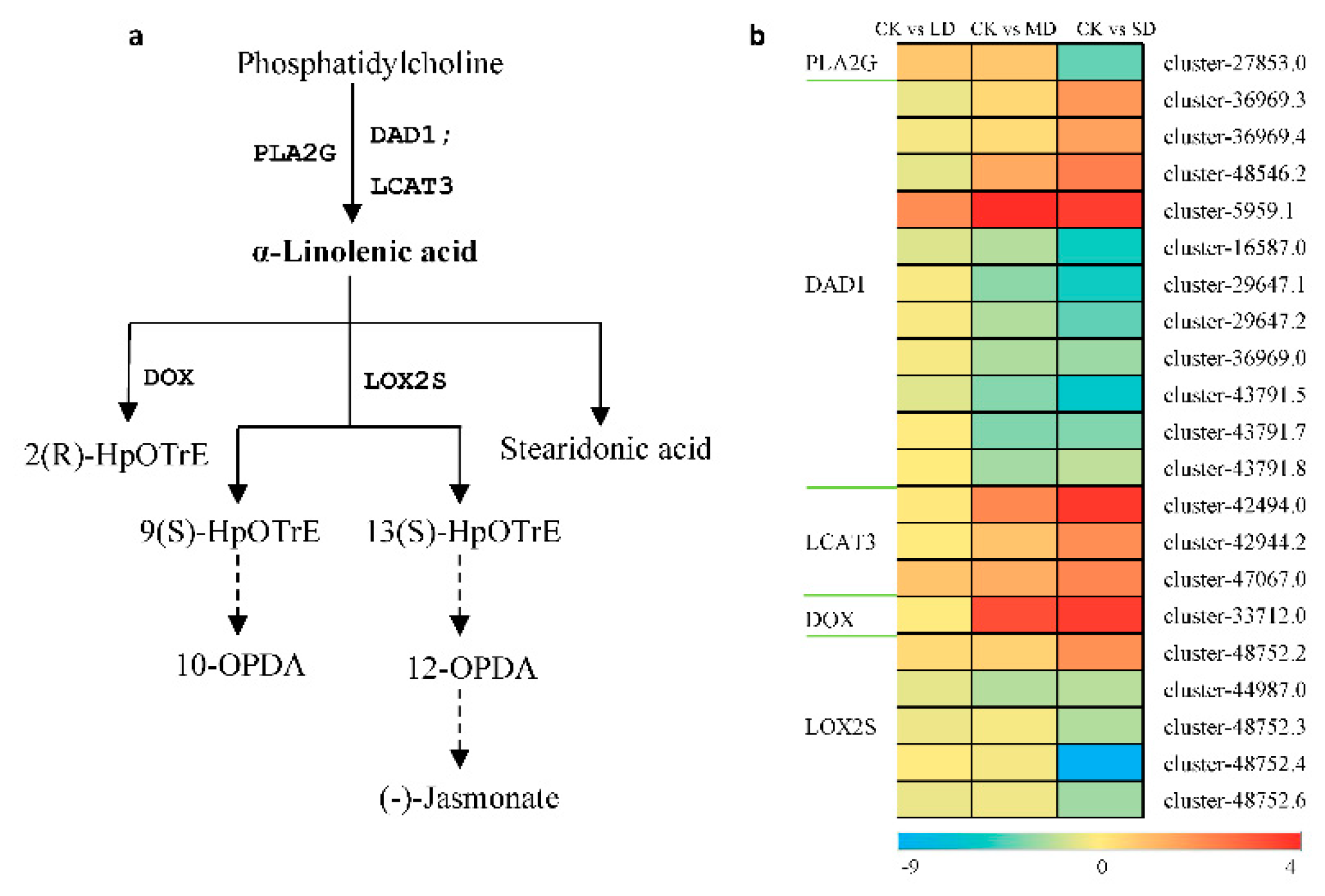 Preprints 94867 g004