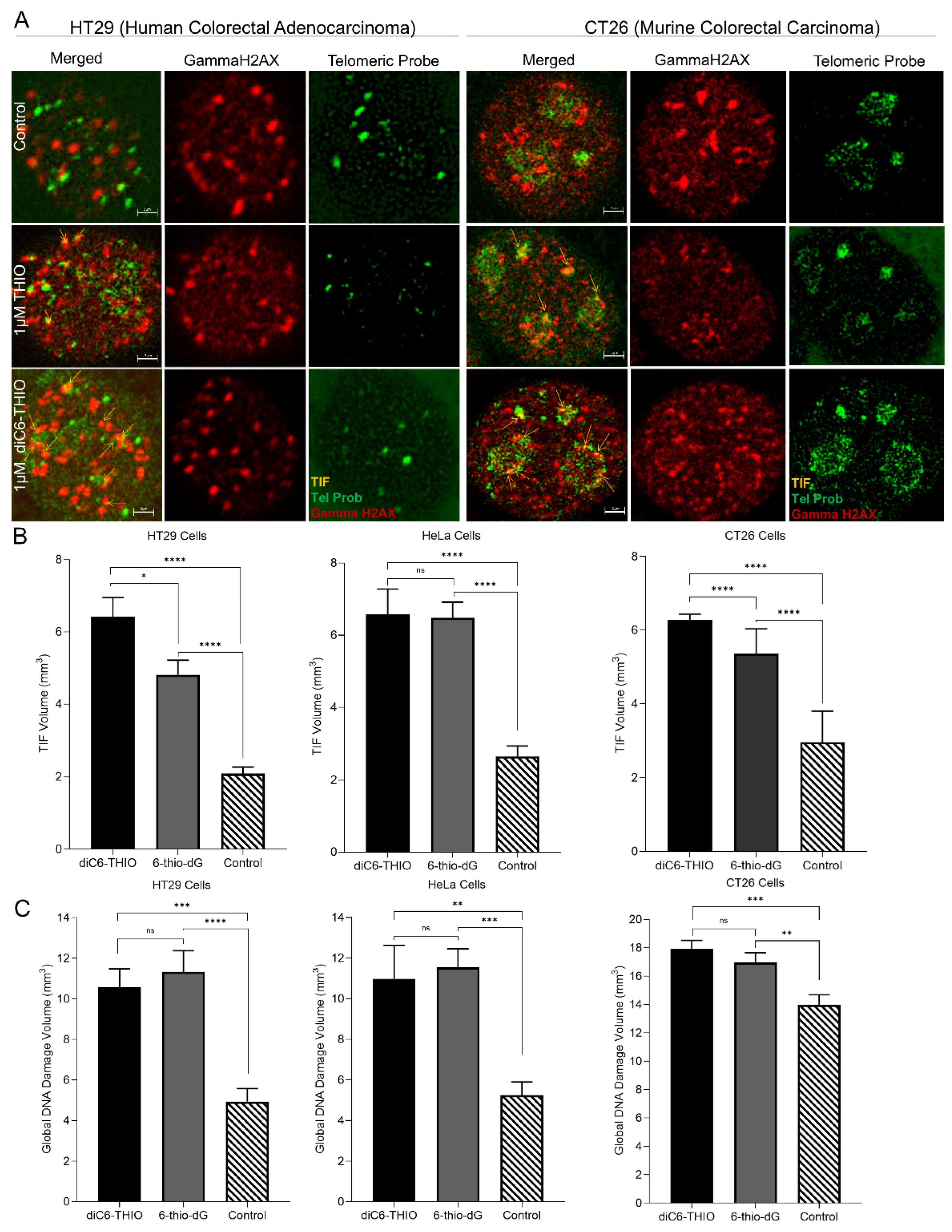 Preprints 119681 g002