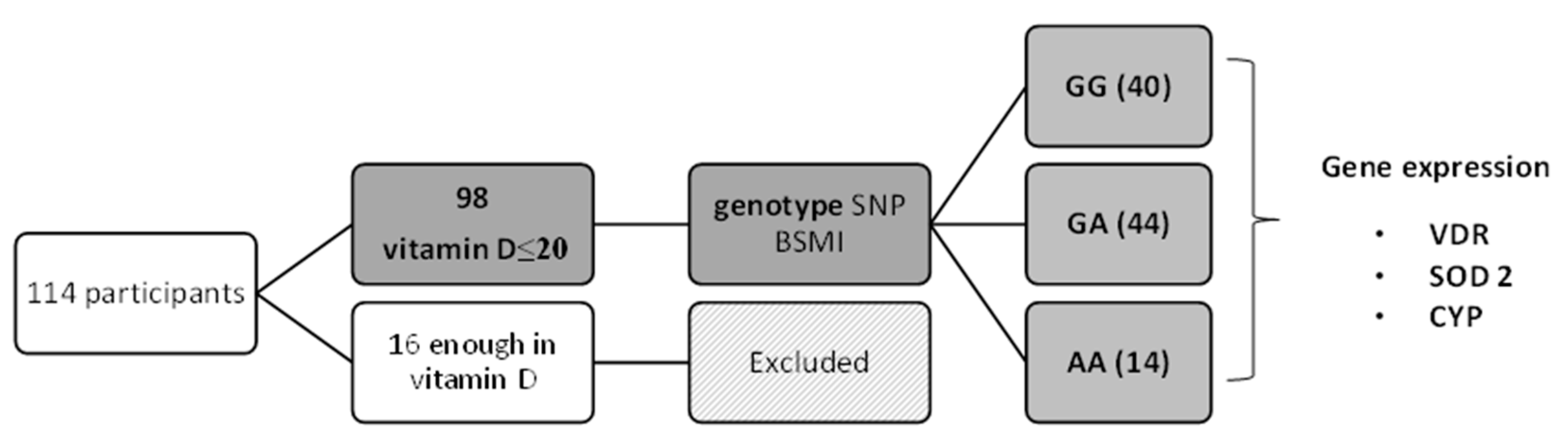 Preprints 80110 g001