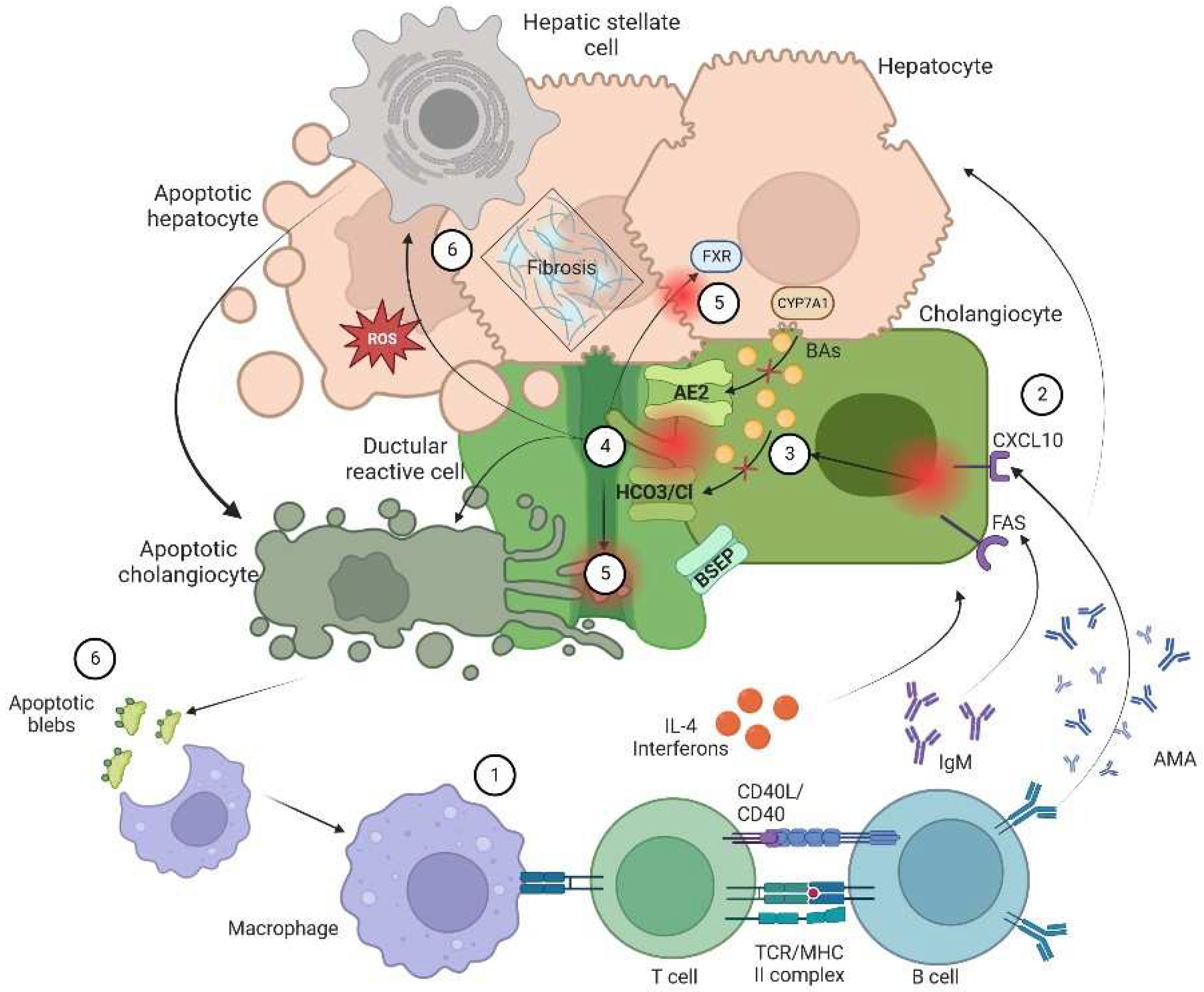 Preprints 71241 g001