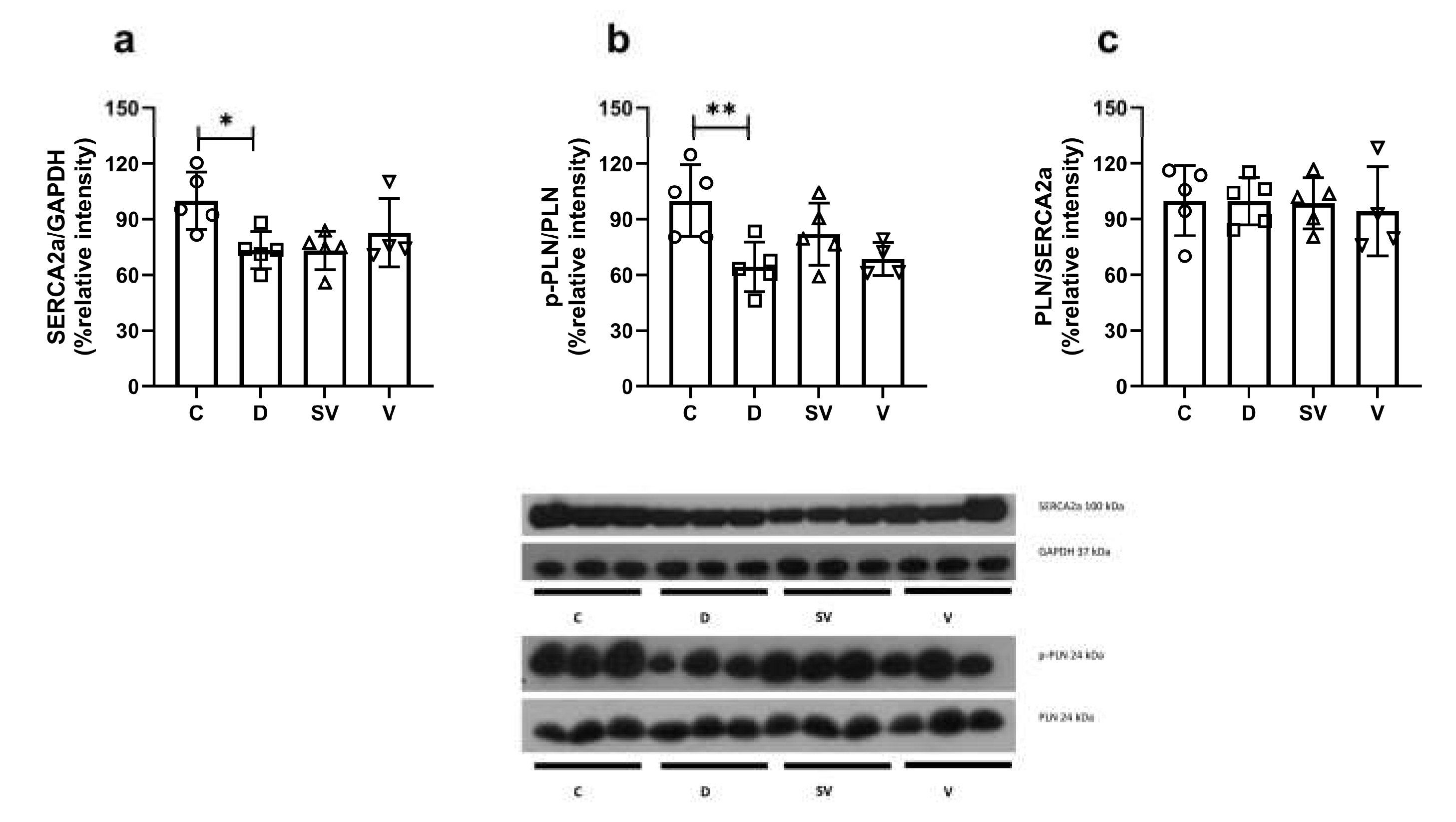 Preprints 112029 g007