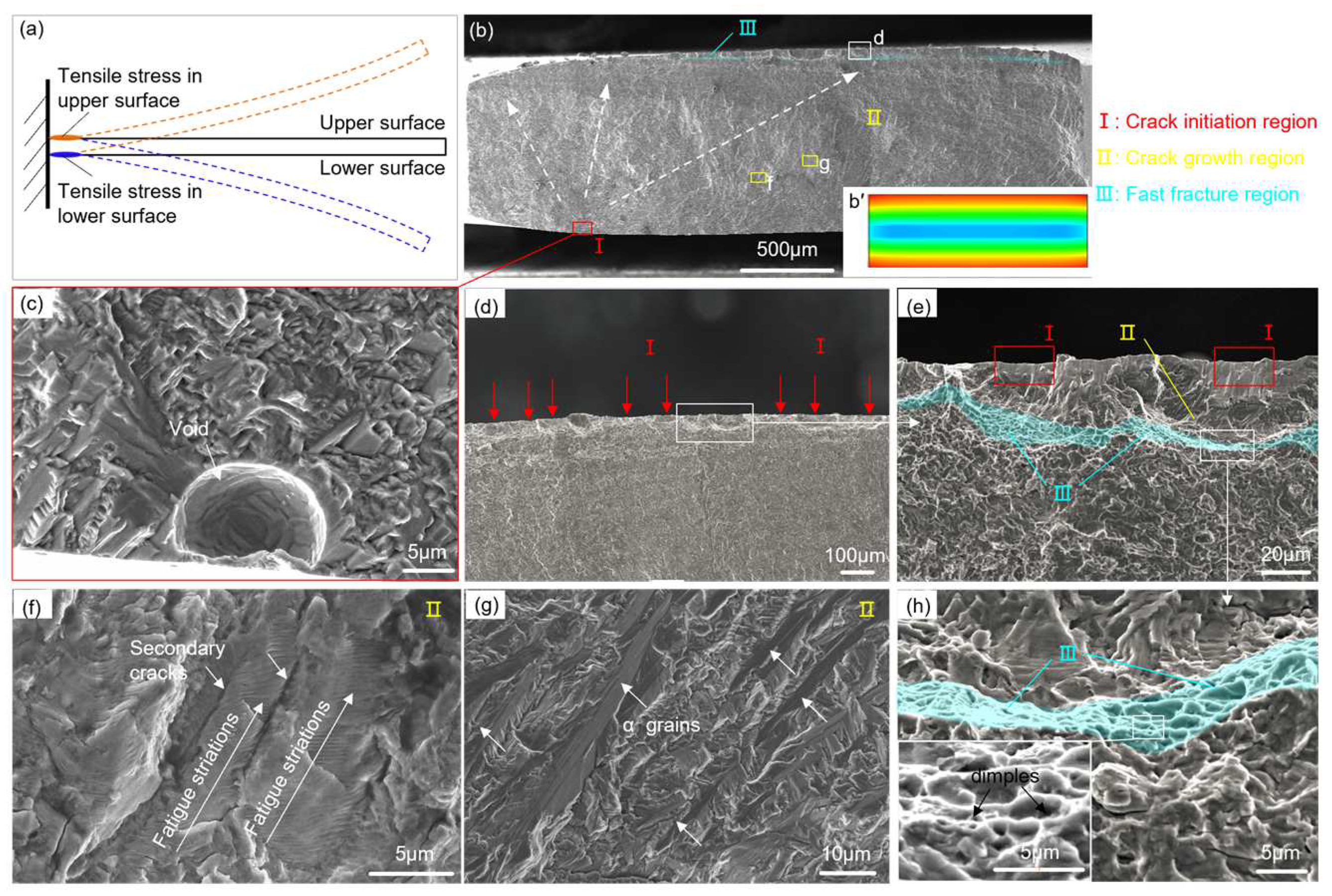 Preprints 77567 g007