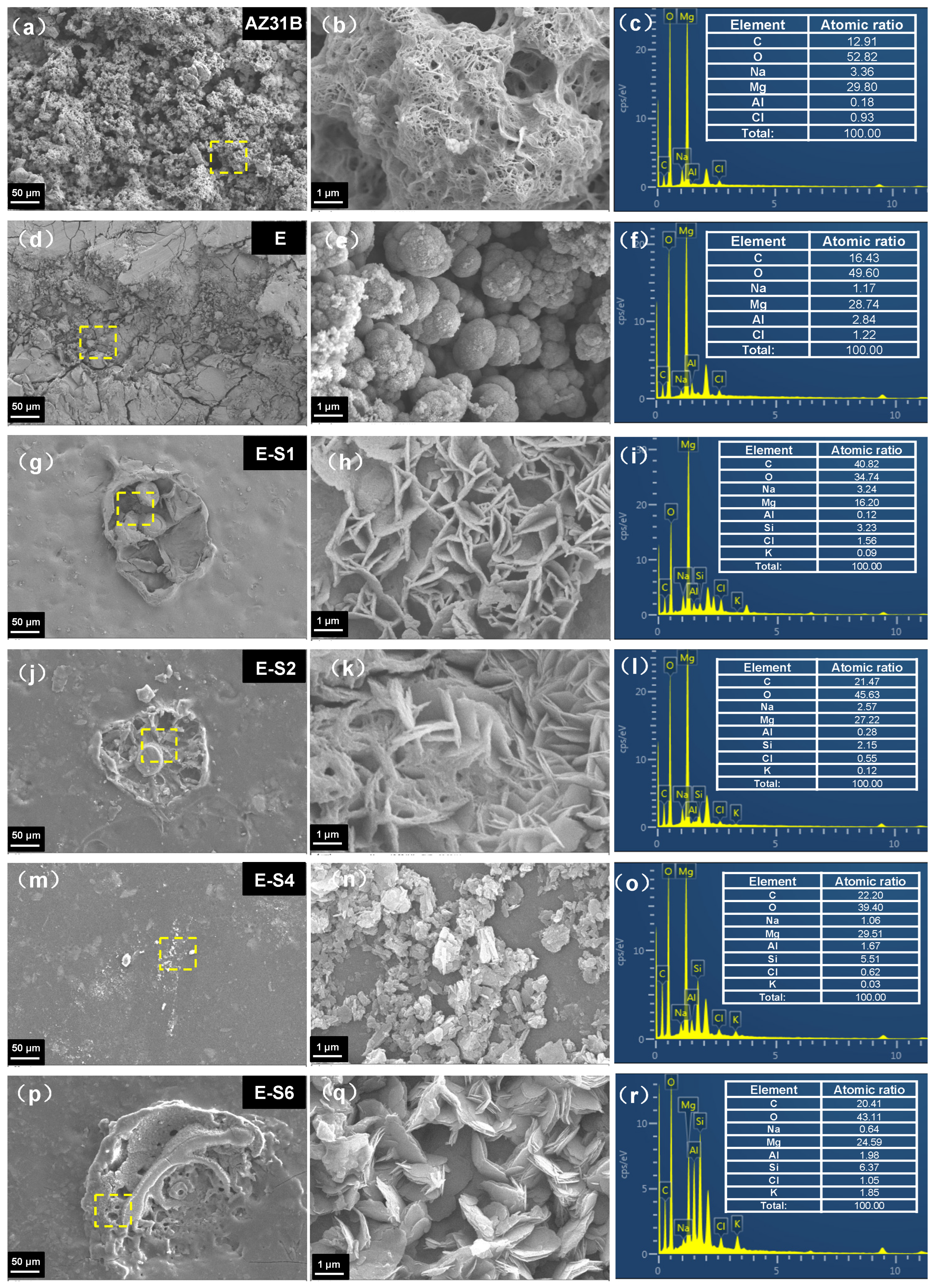 Preprints 75798 g011