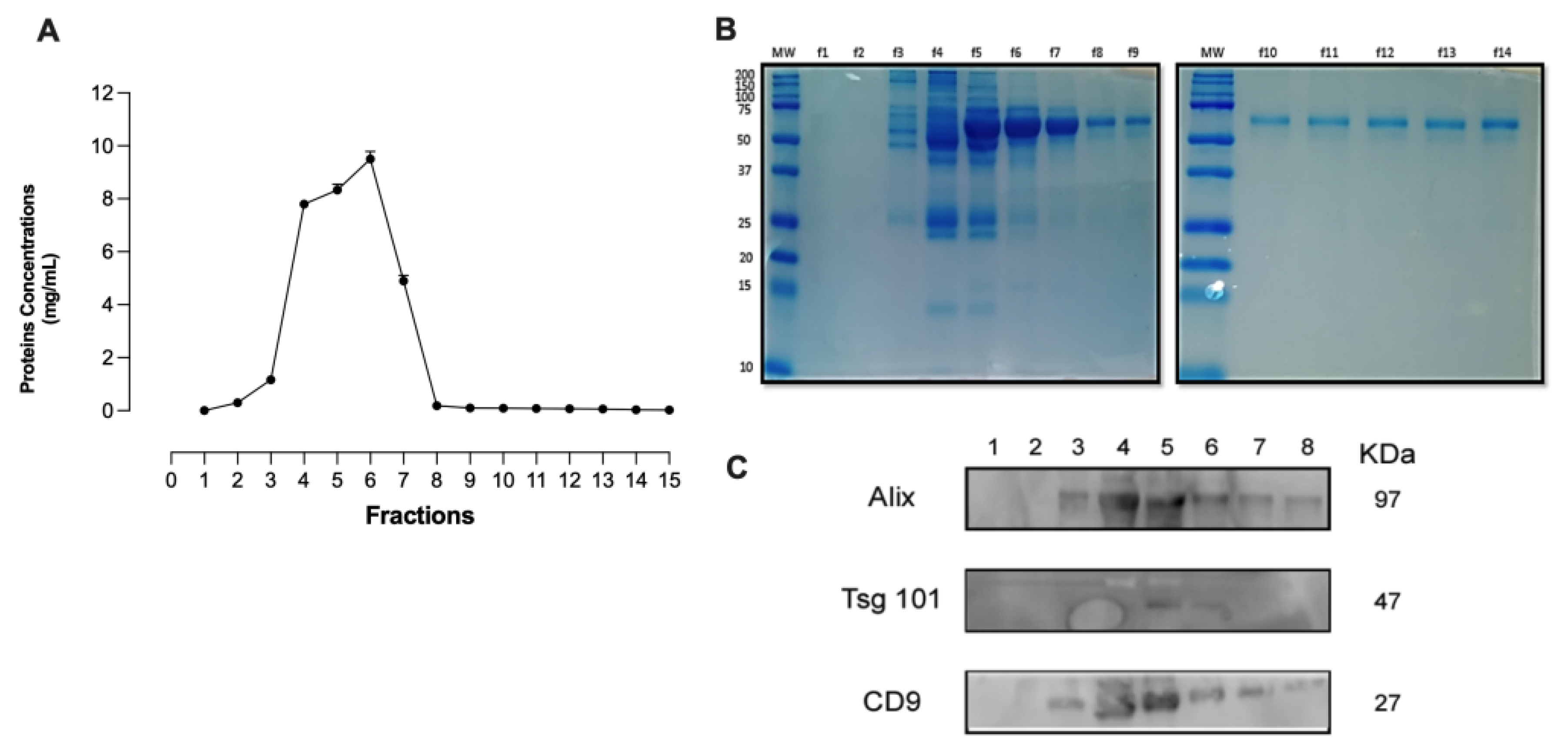 Preprints 111932 g001a