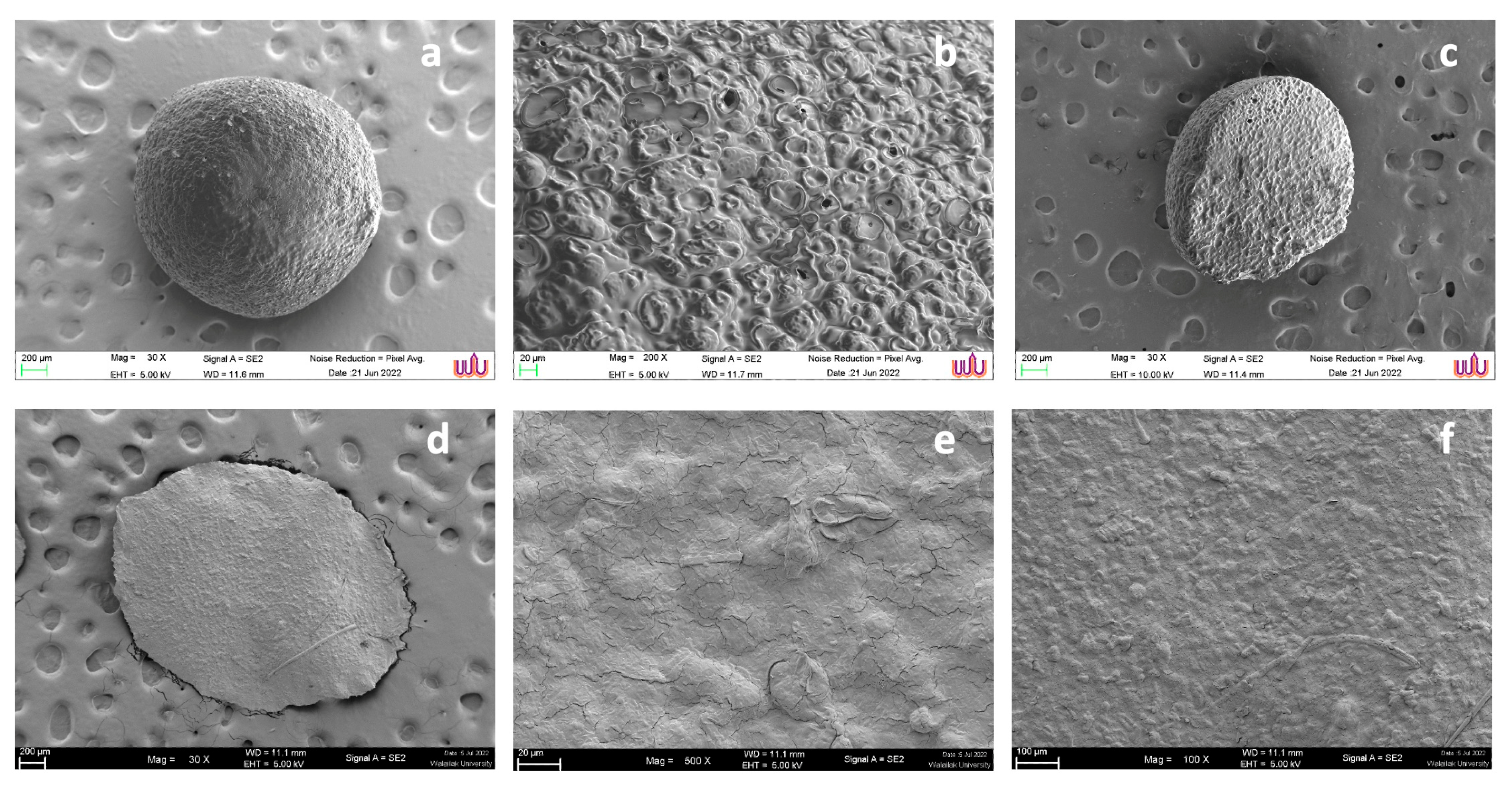 Preprints 100474 g004