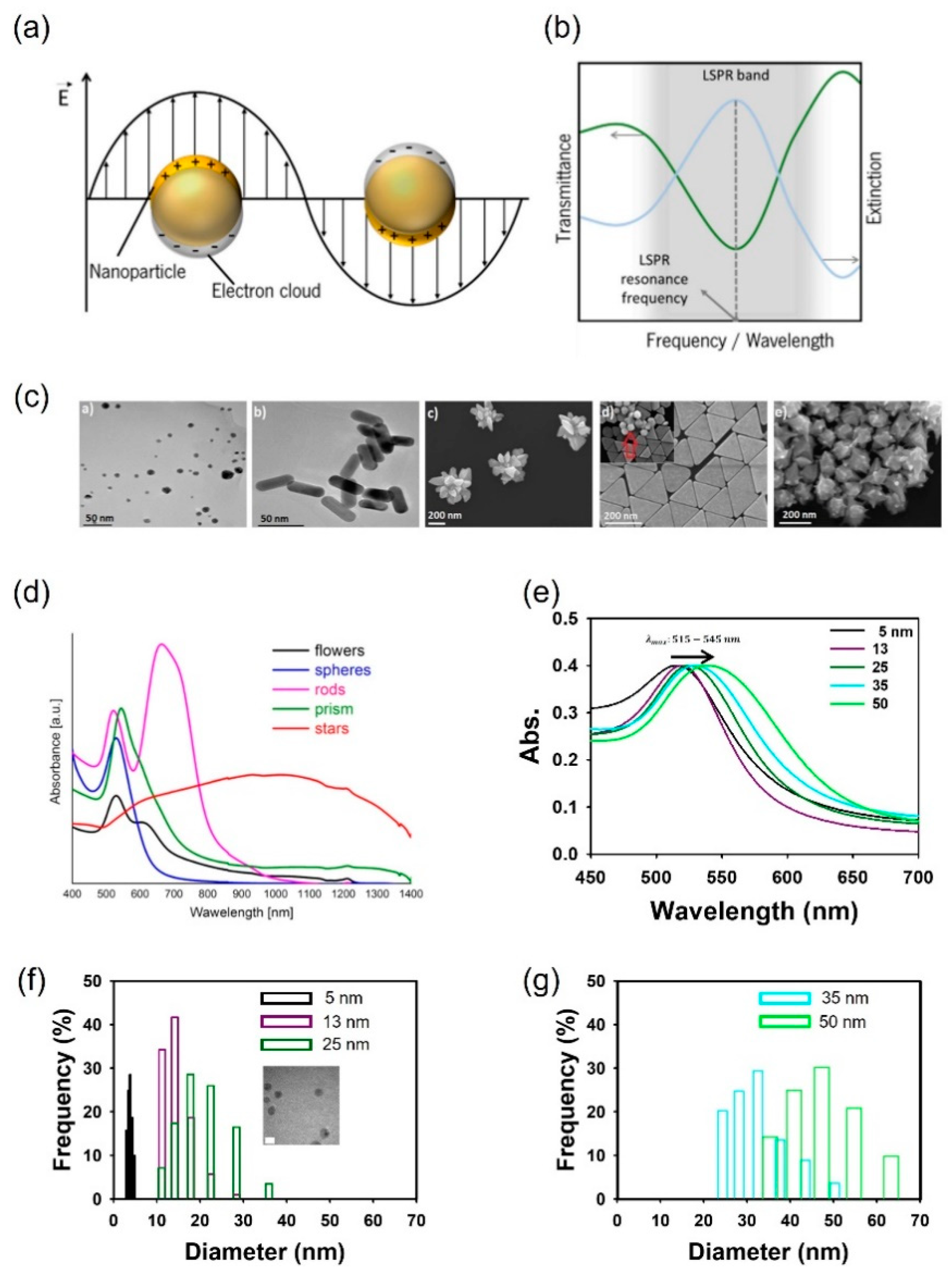 Preprints 91169 g001