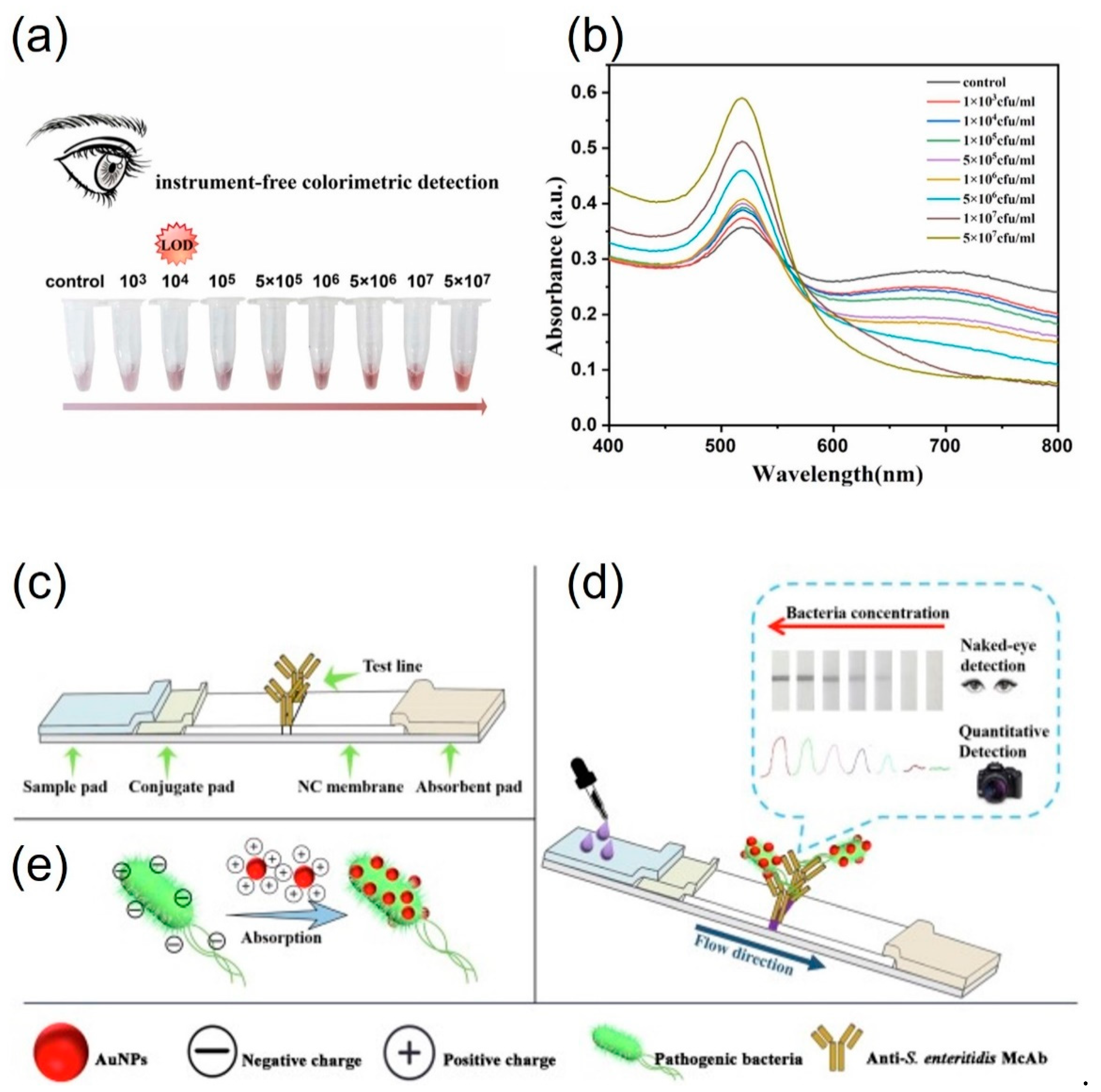 Preprints 91169 g003