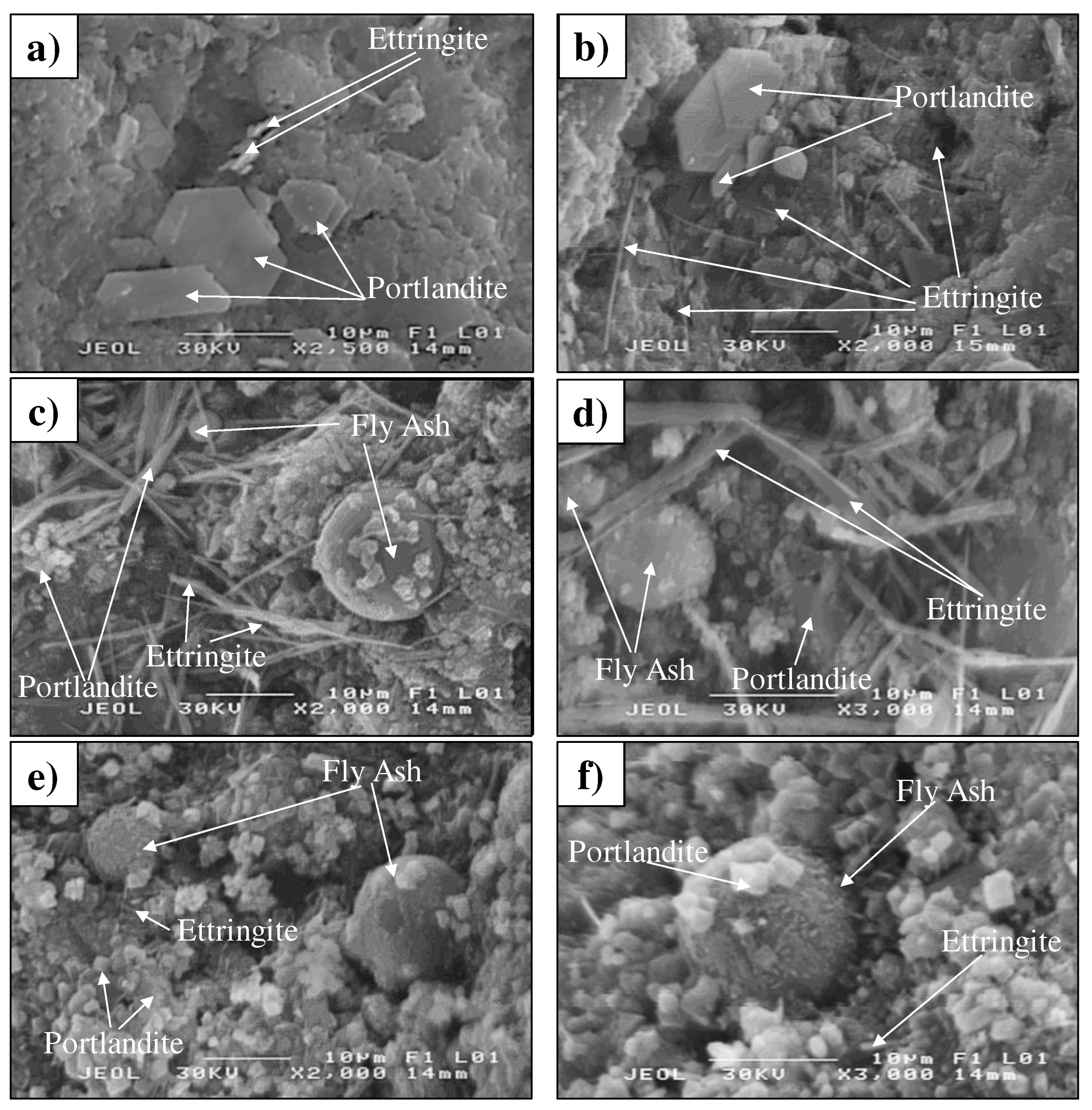 Preprints 72077 g010