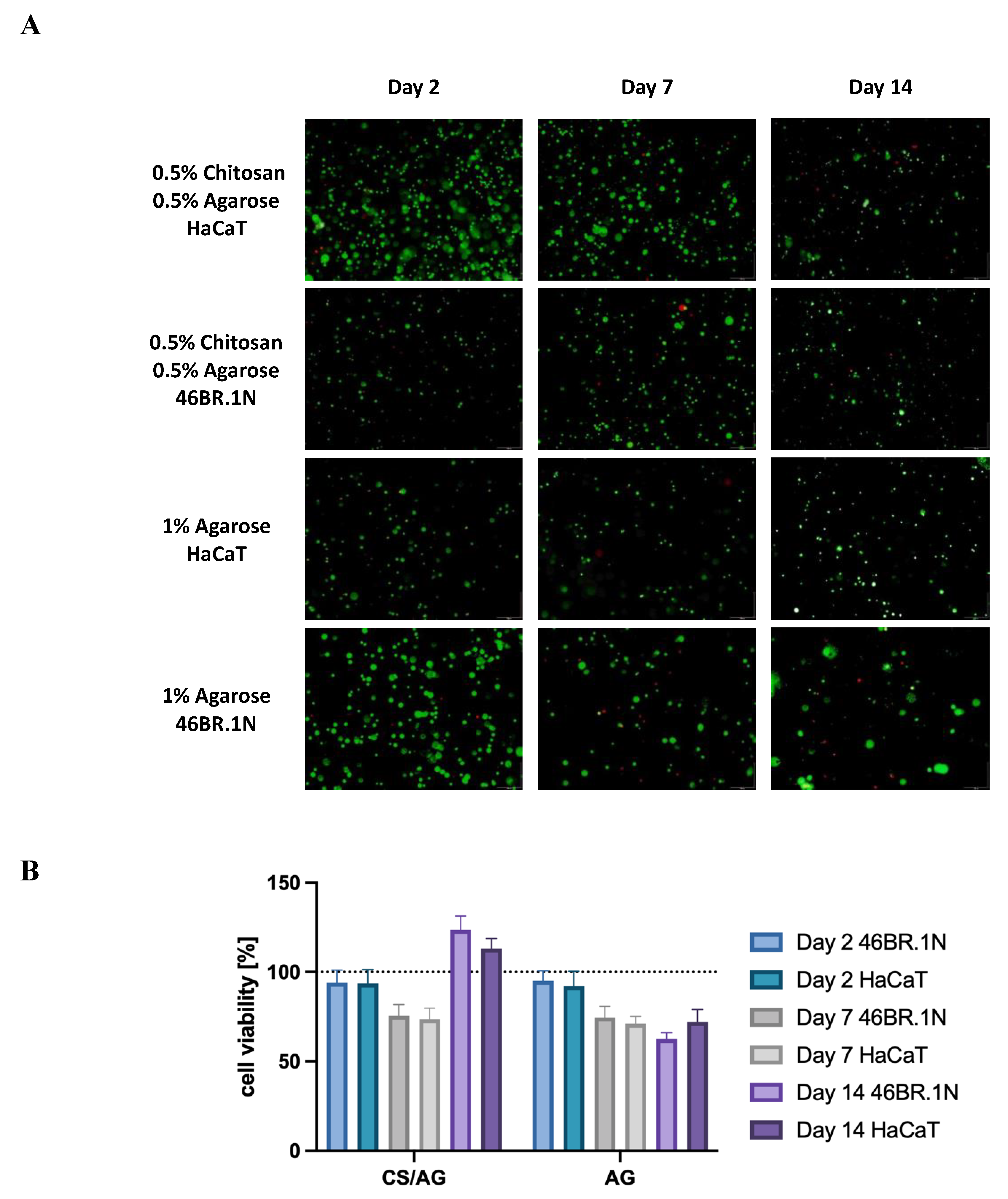 Preprints 116039 g006