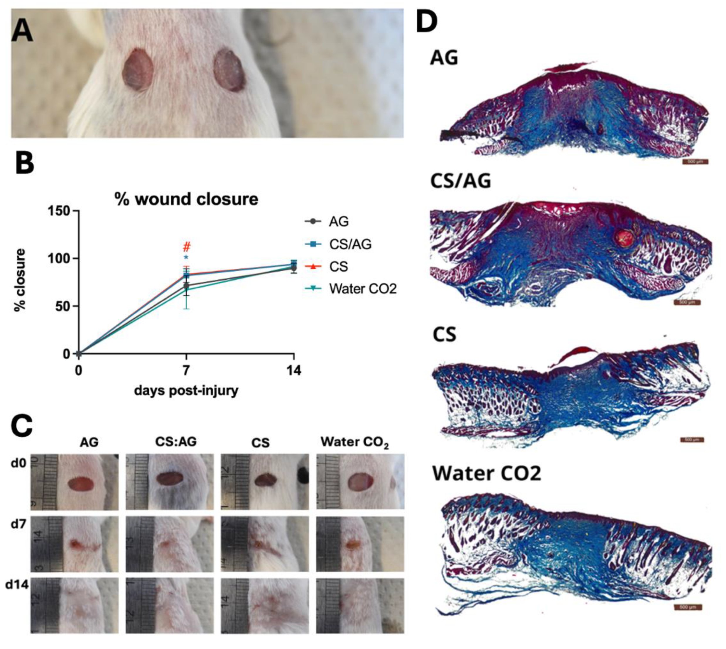 Preprints 116039 g008