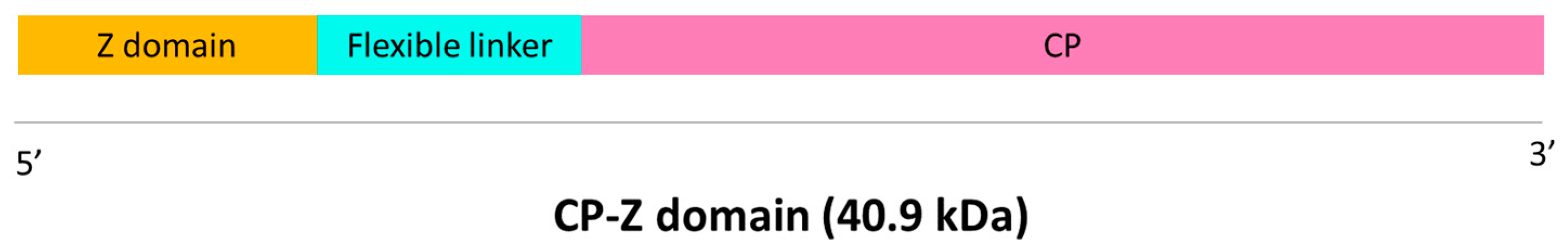 Preprints 98342 g001