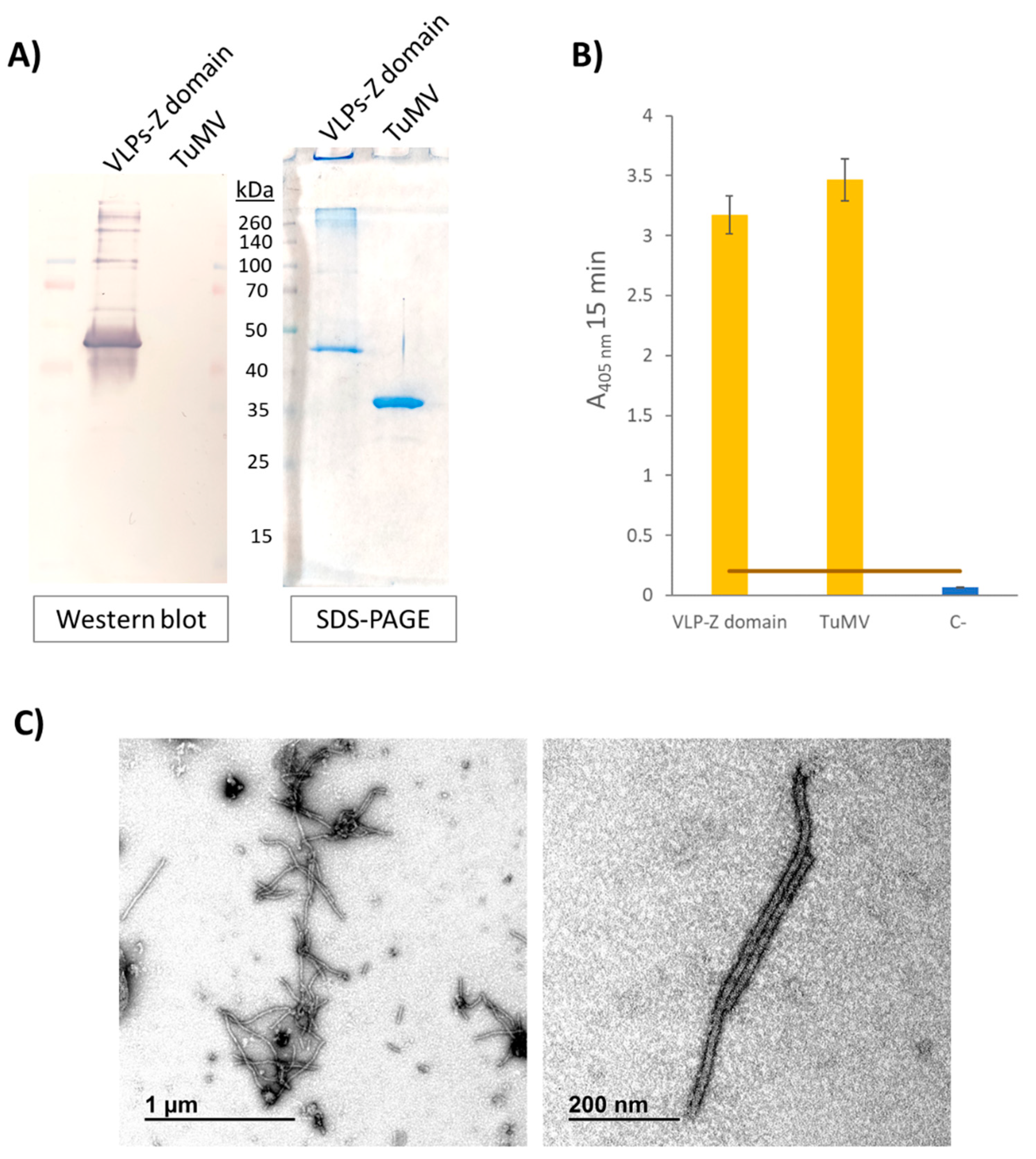 Preprints 98342 g002