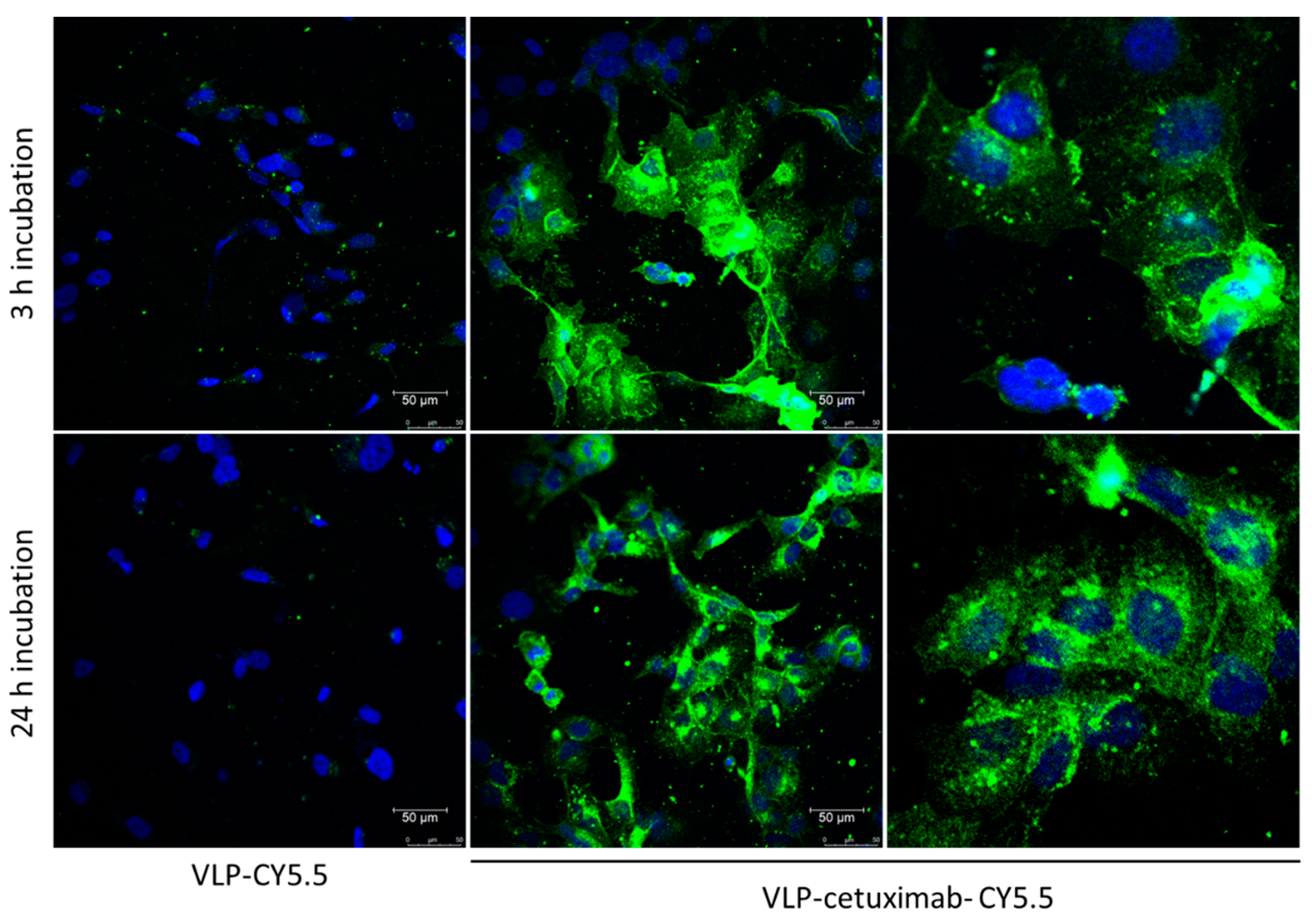 Preprints 98342 g006