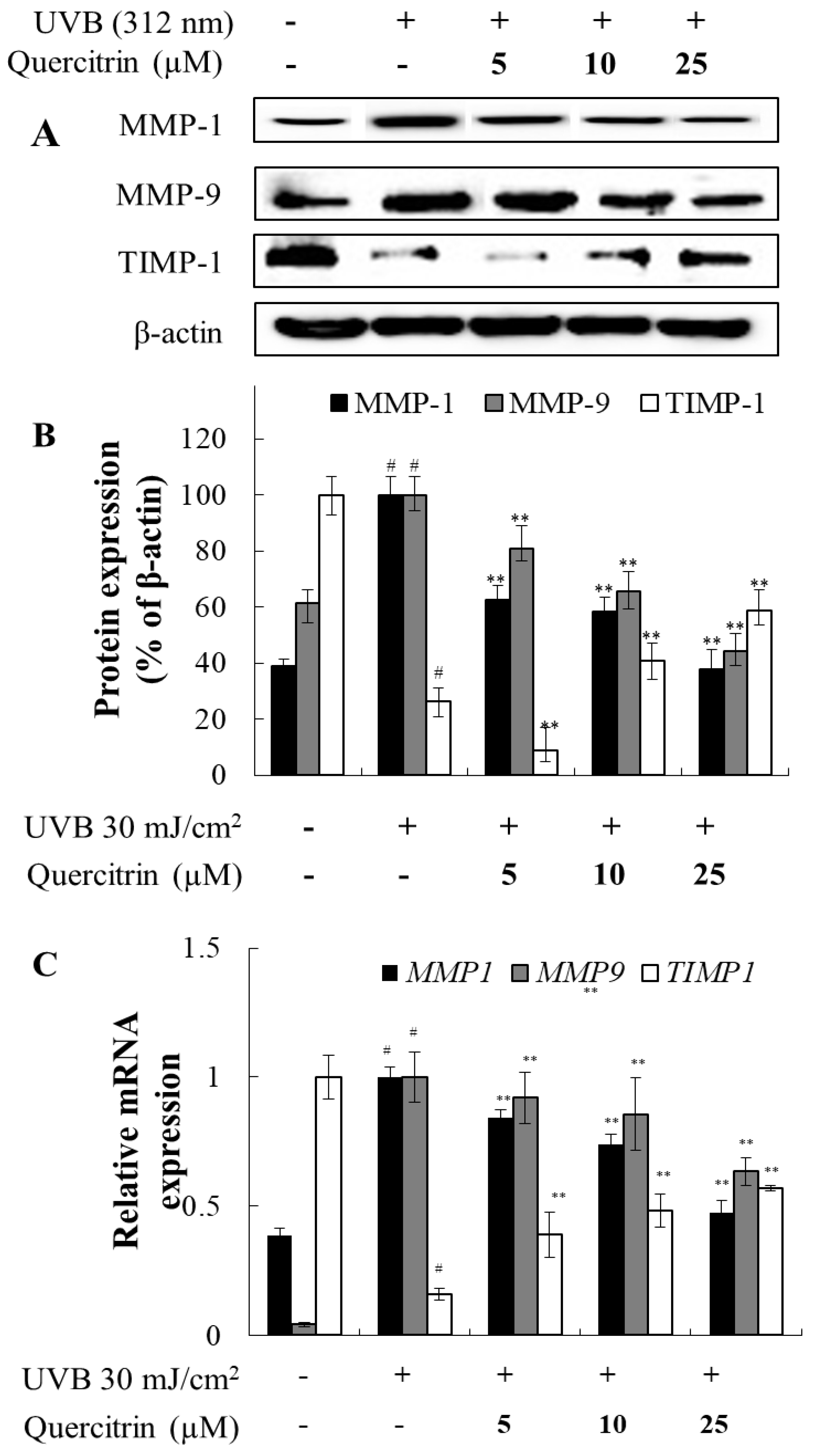 Preprints 121944 g003