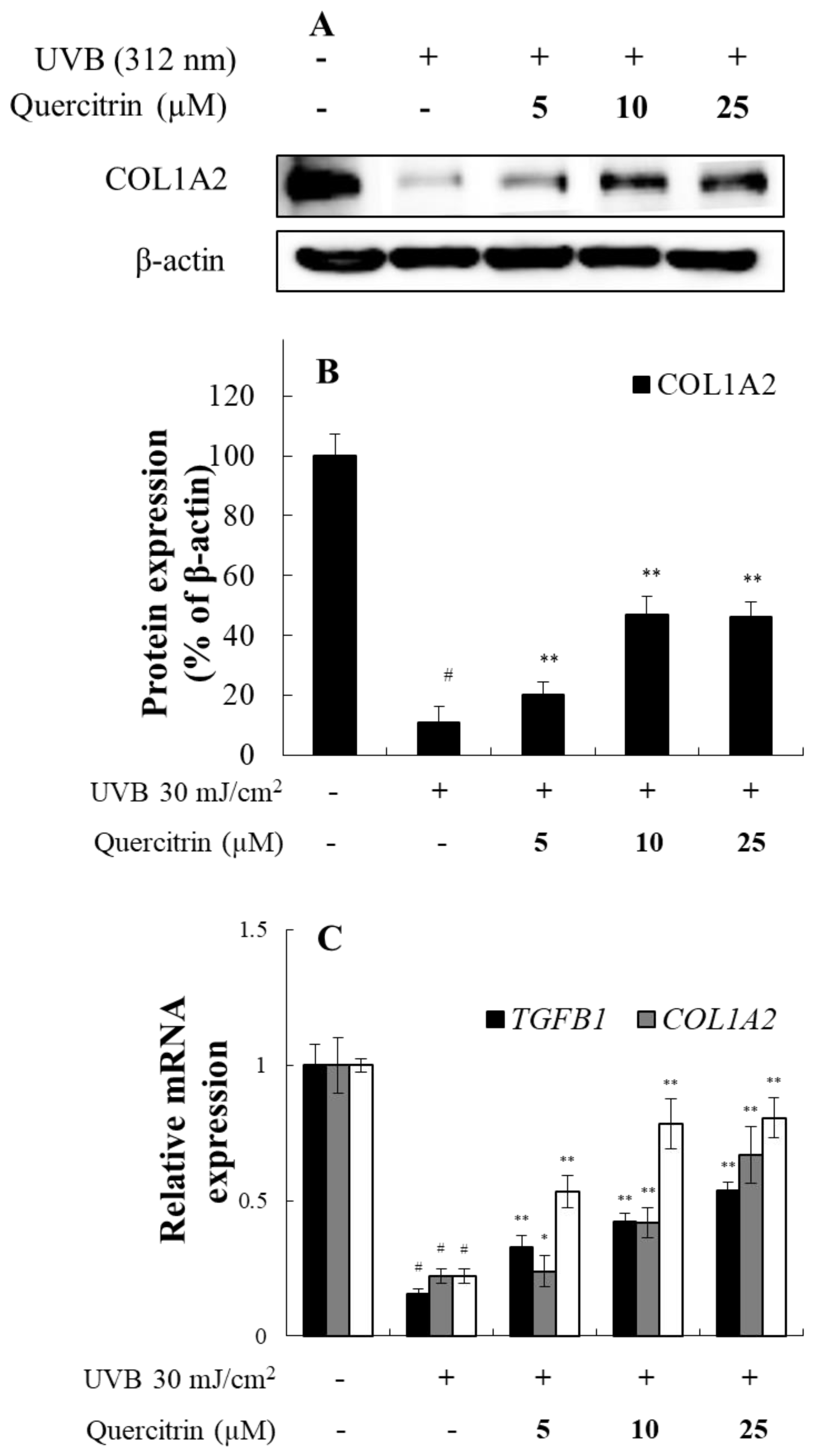 Preprints 121944 g004