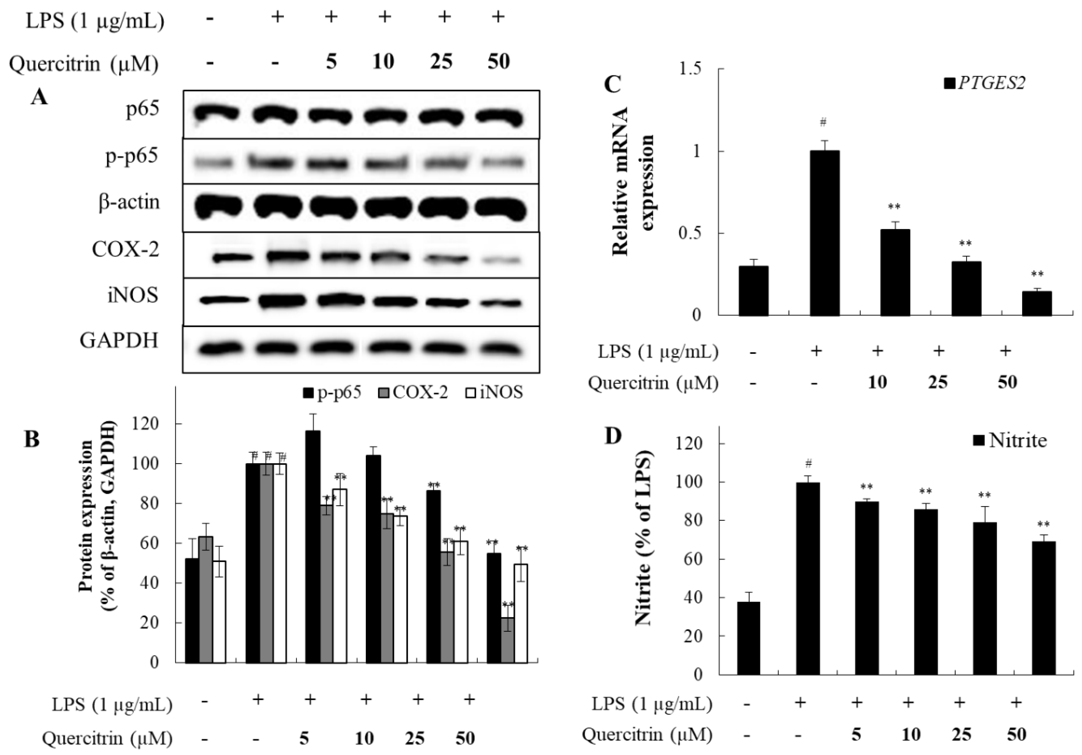 Preprints 121944 g005