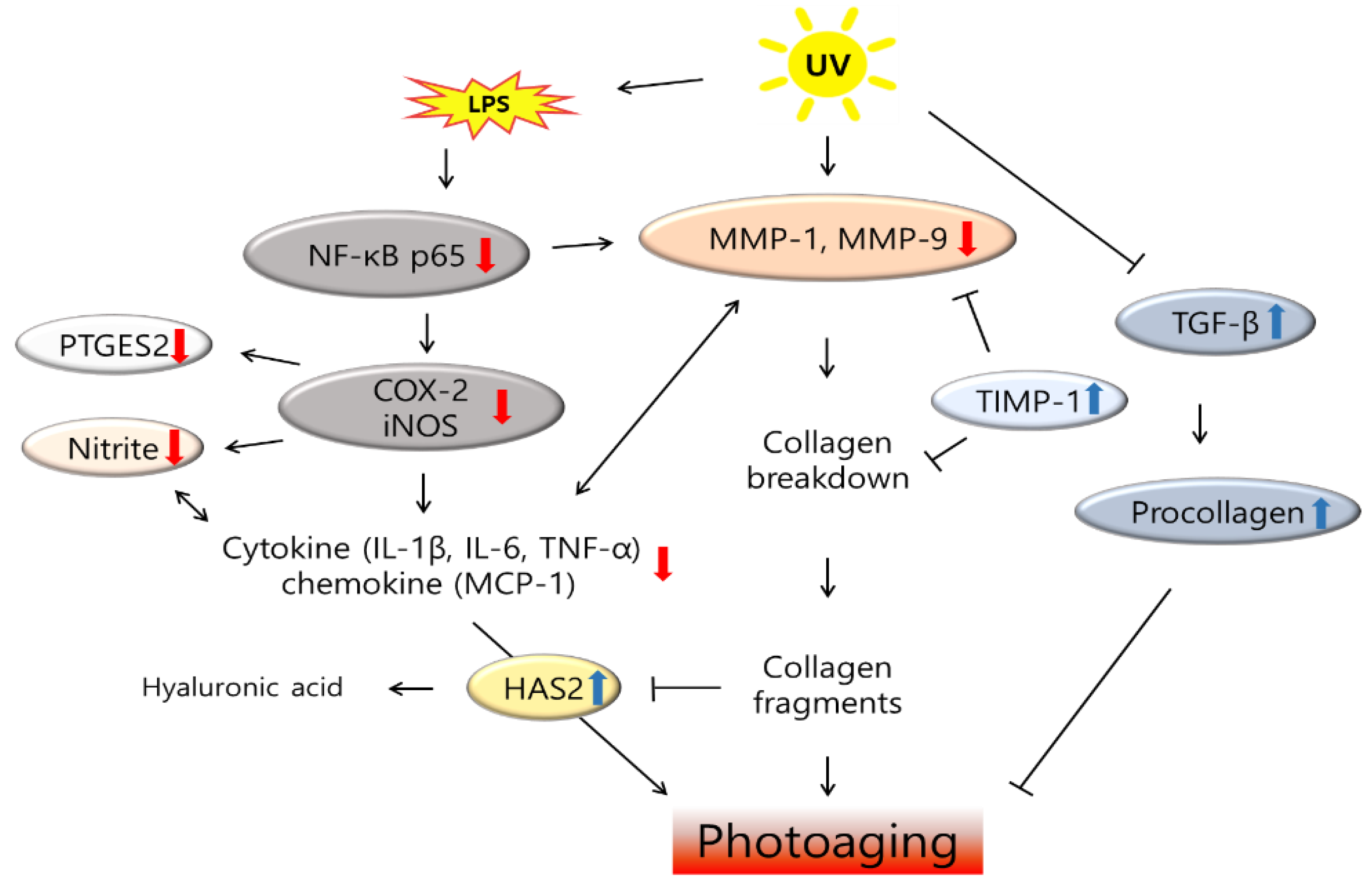 Preprints 121944 g007