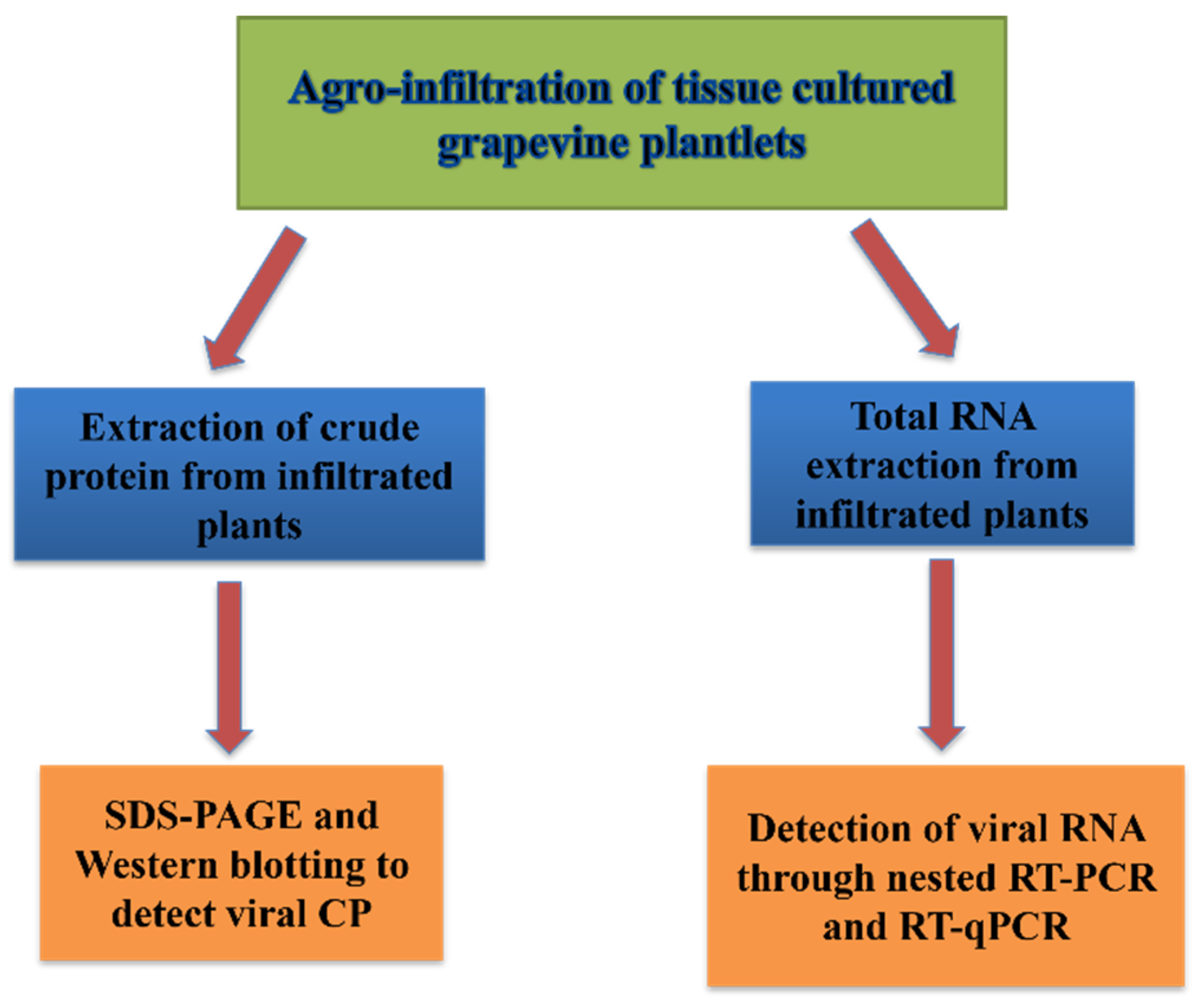 Preprints 87145 g004