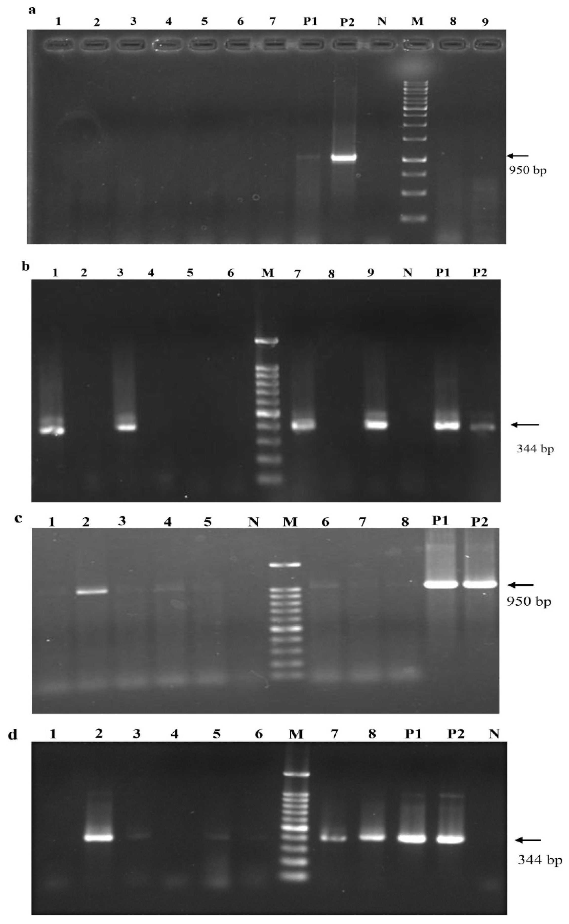 Preprints 87145 g007