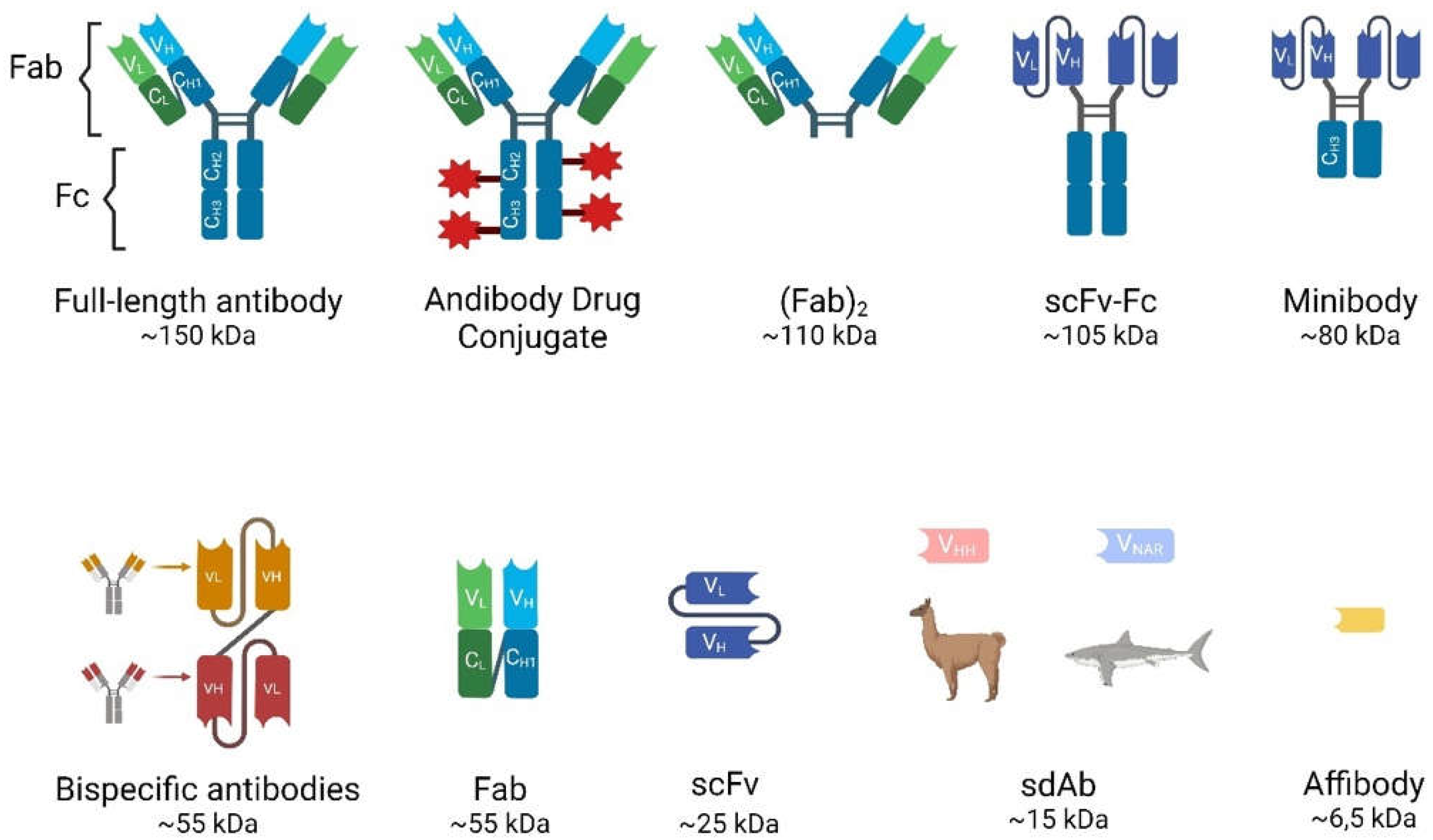 Preprints 109300 g001