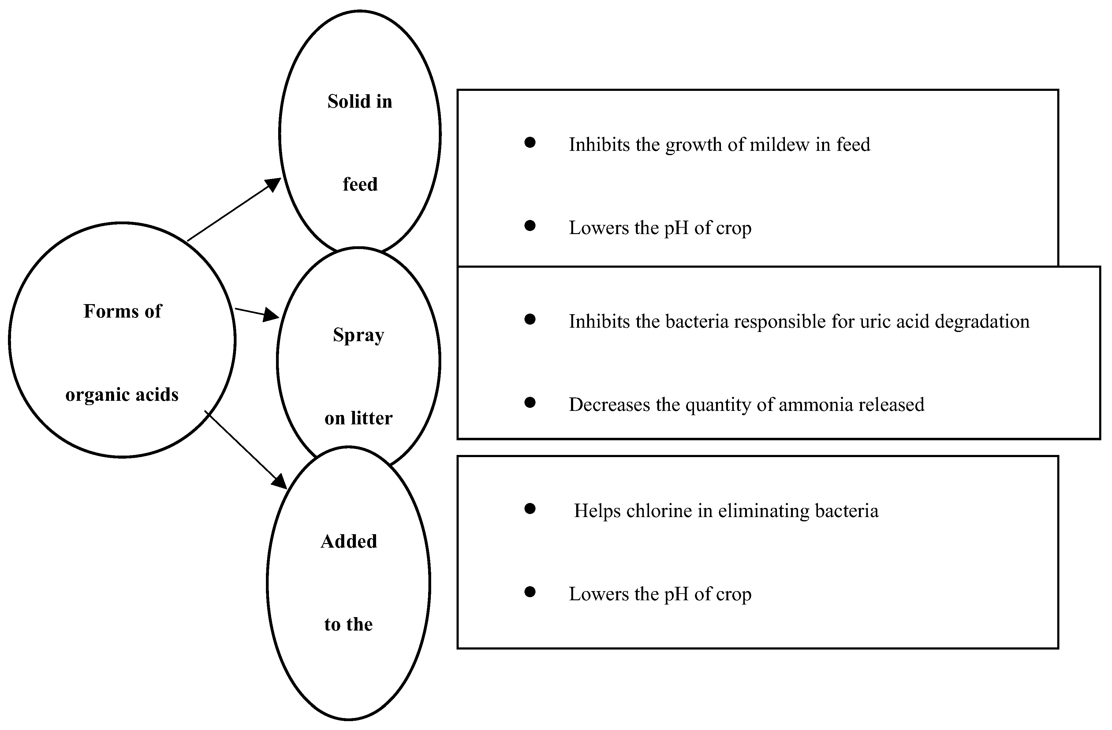 Preprints 116086 g003