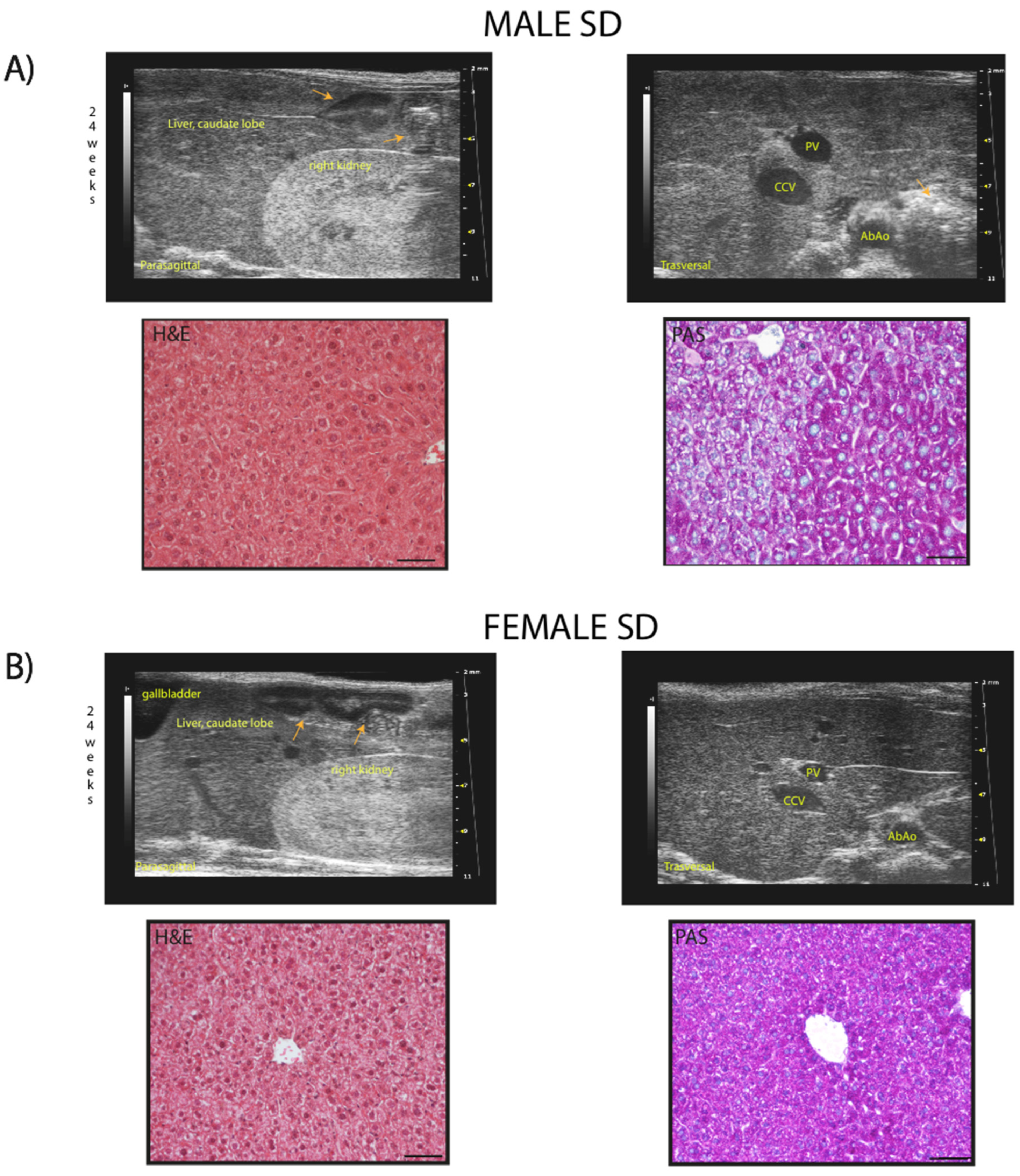 Preprints 111762 g009