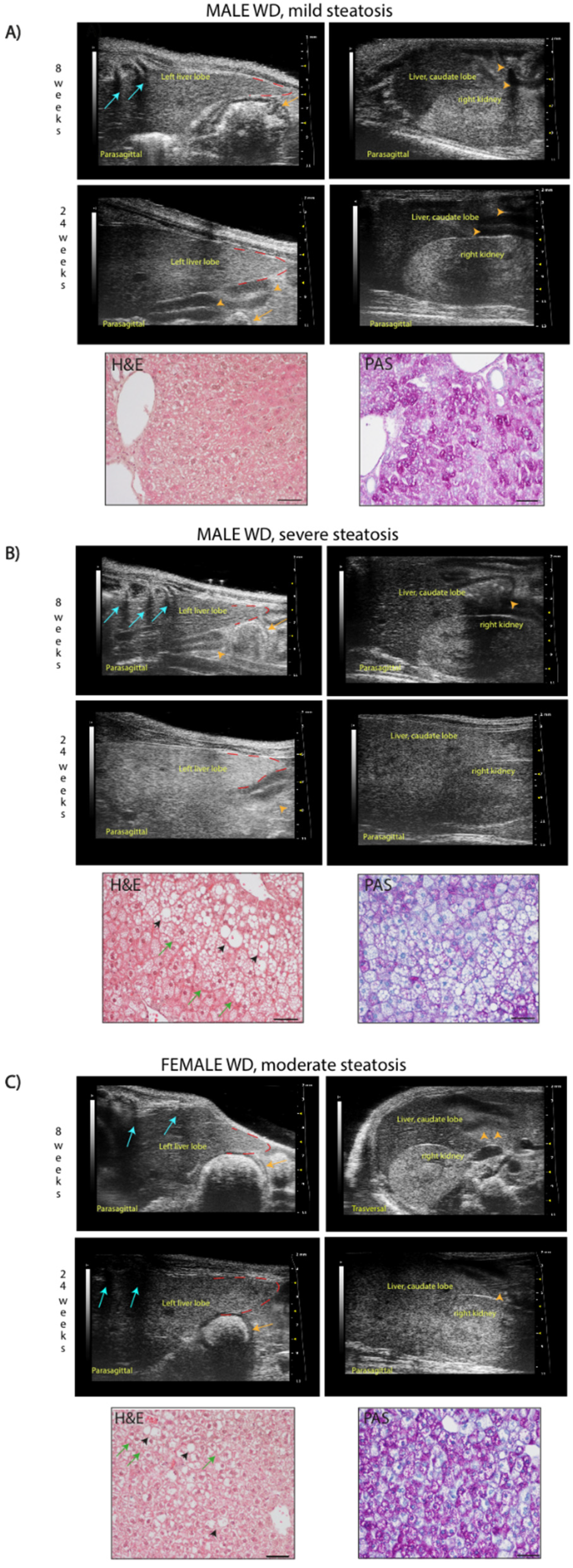 Preprints 111762 g010