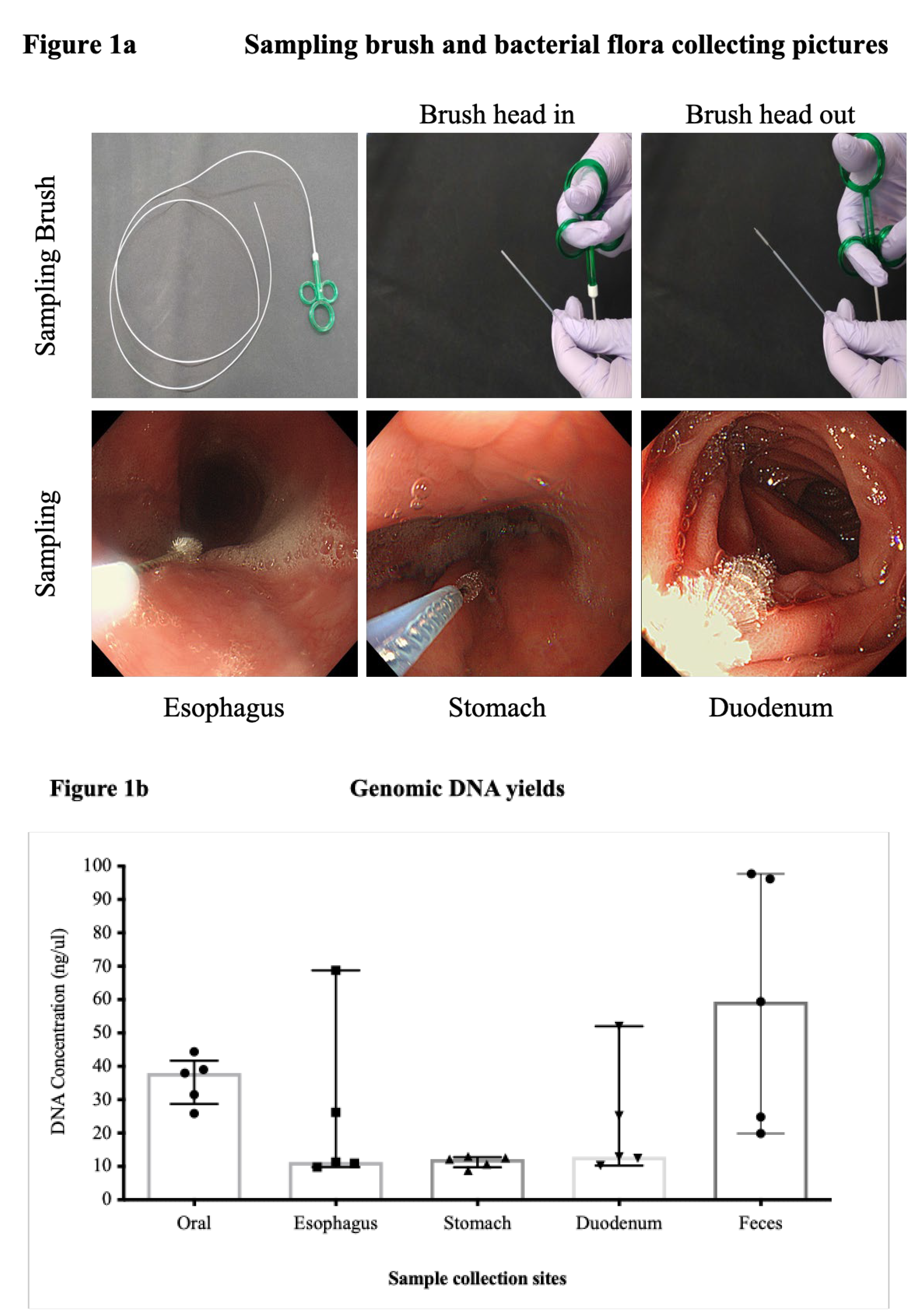 Preprints 110172 g001a