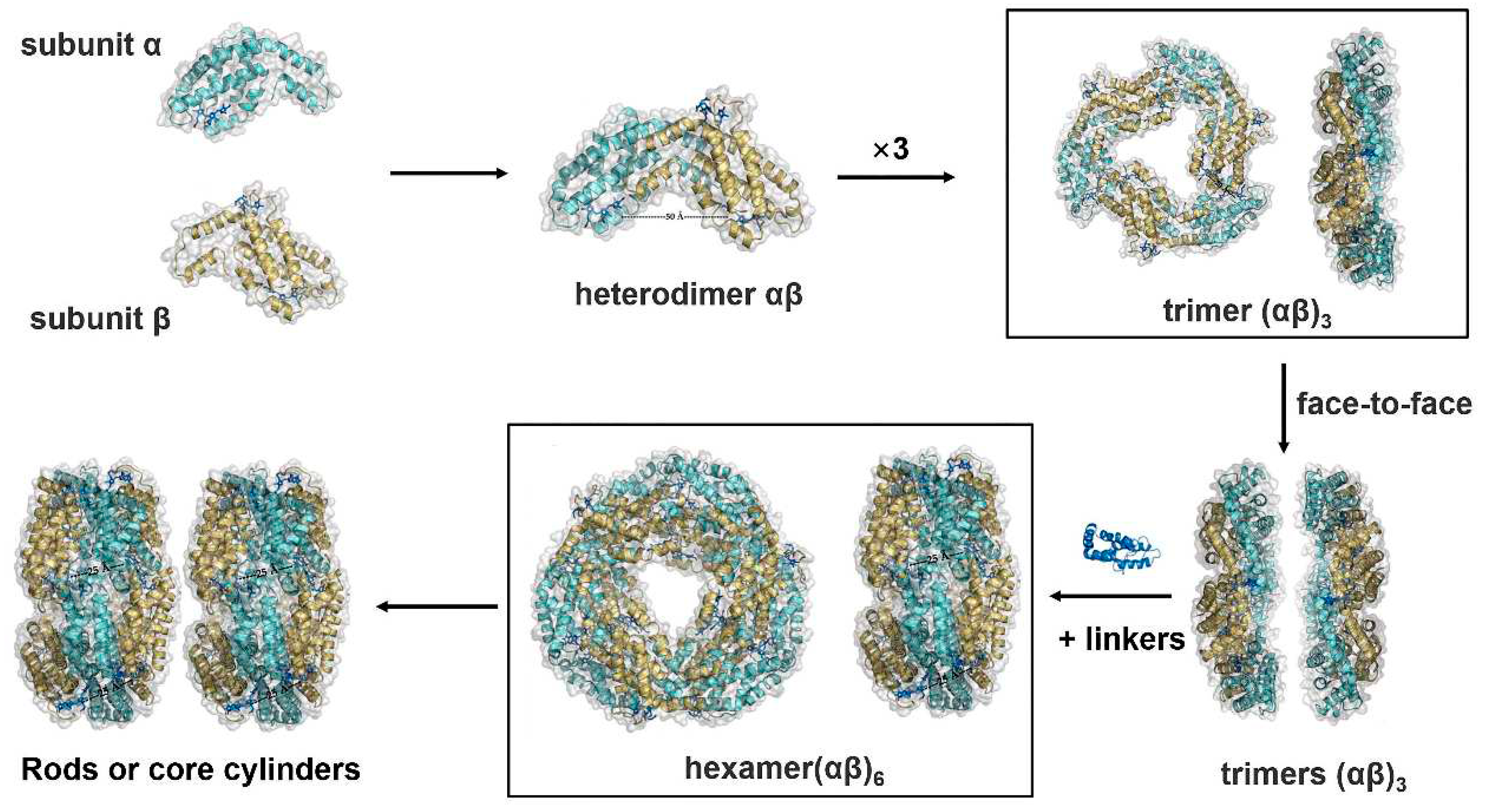 Preprints 73142 g001