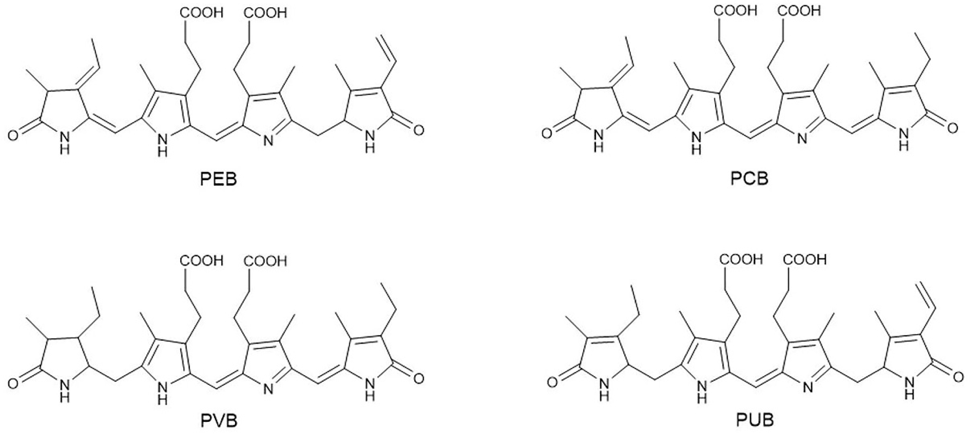 Preprints 73142 g002