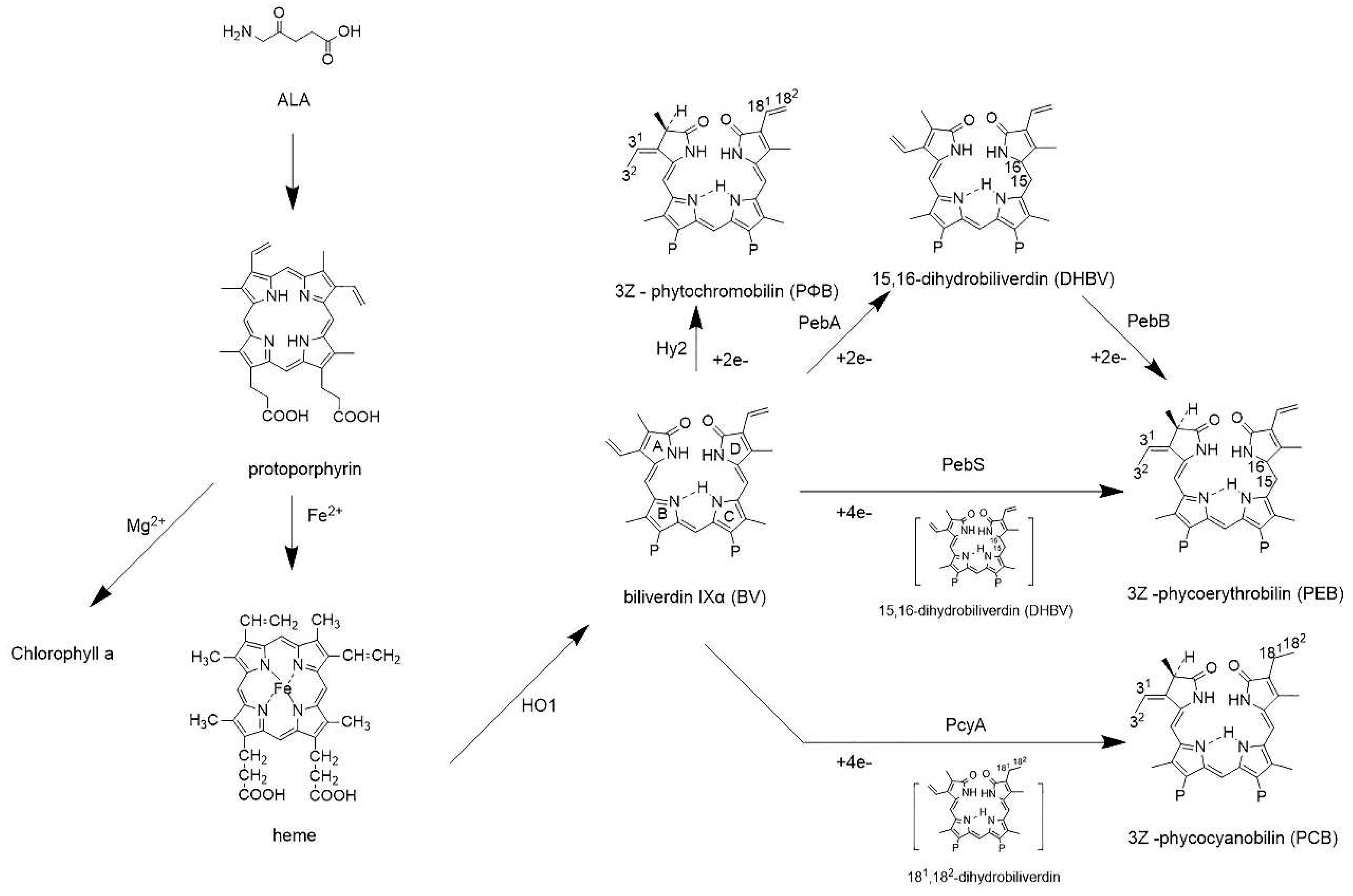 Preprints 73142 g003