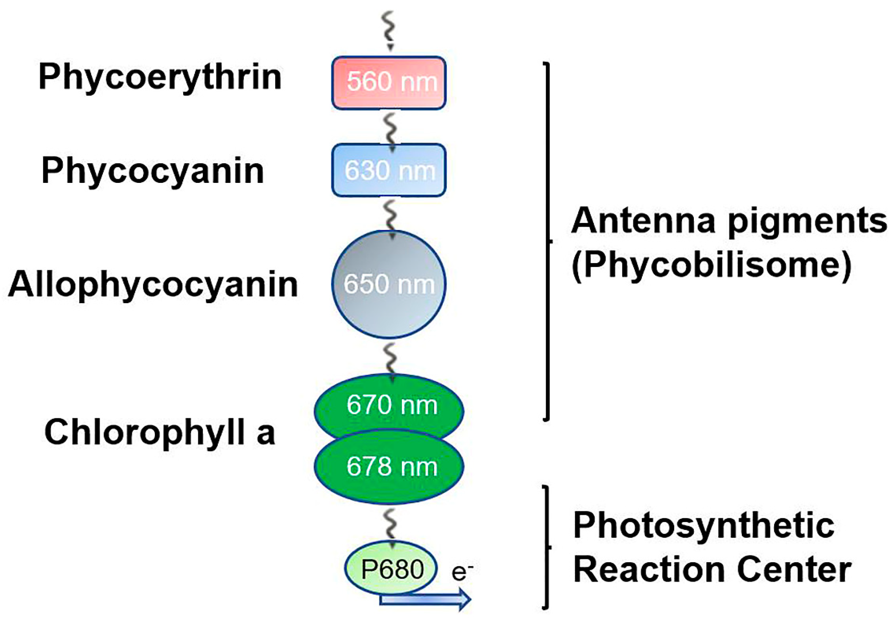 Preprints 73142 g004